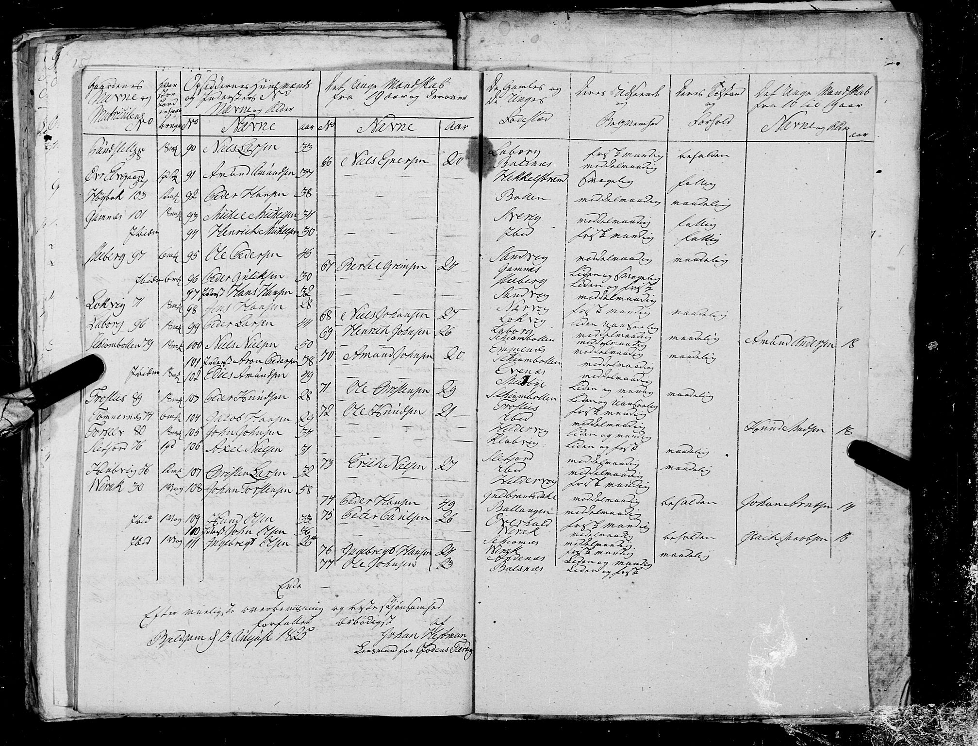 Fylkesmannen i Nordland, AV/SAT-A-0499/1.1/R/Ra/L0023: Innrulleringsmanntall for Ofoten, 1810-1836, p. 196