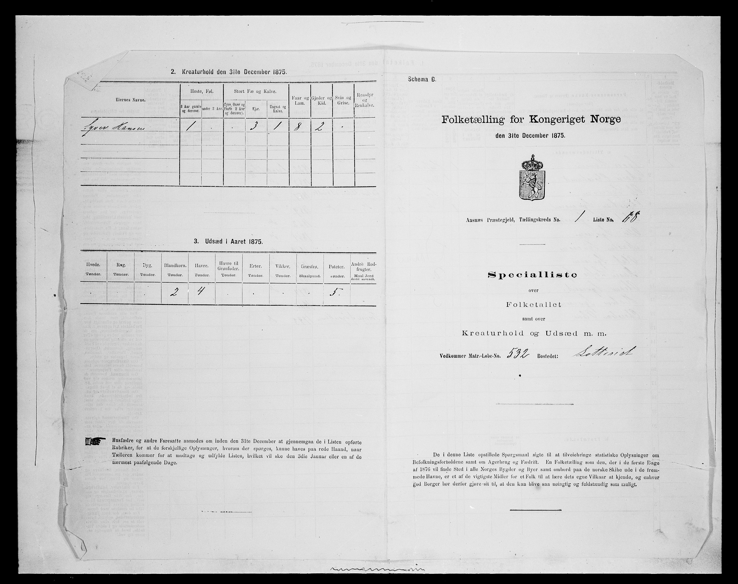 SAH, 1875 census for 0425P Åsnes, 1875, p. 148