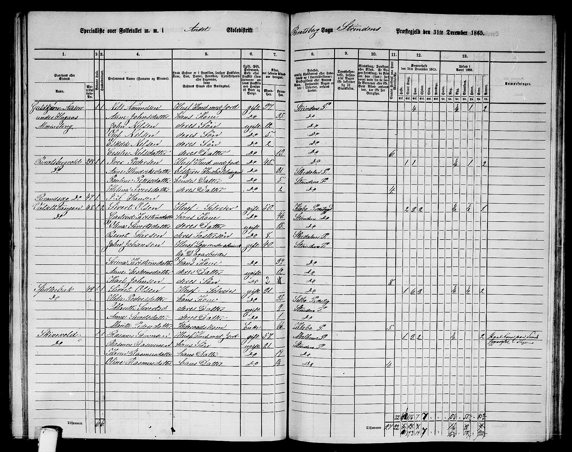 RA, 1865 census for Strinda, 1865, p. 182
