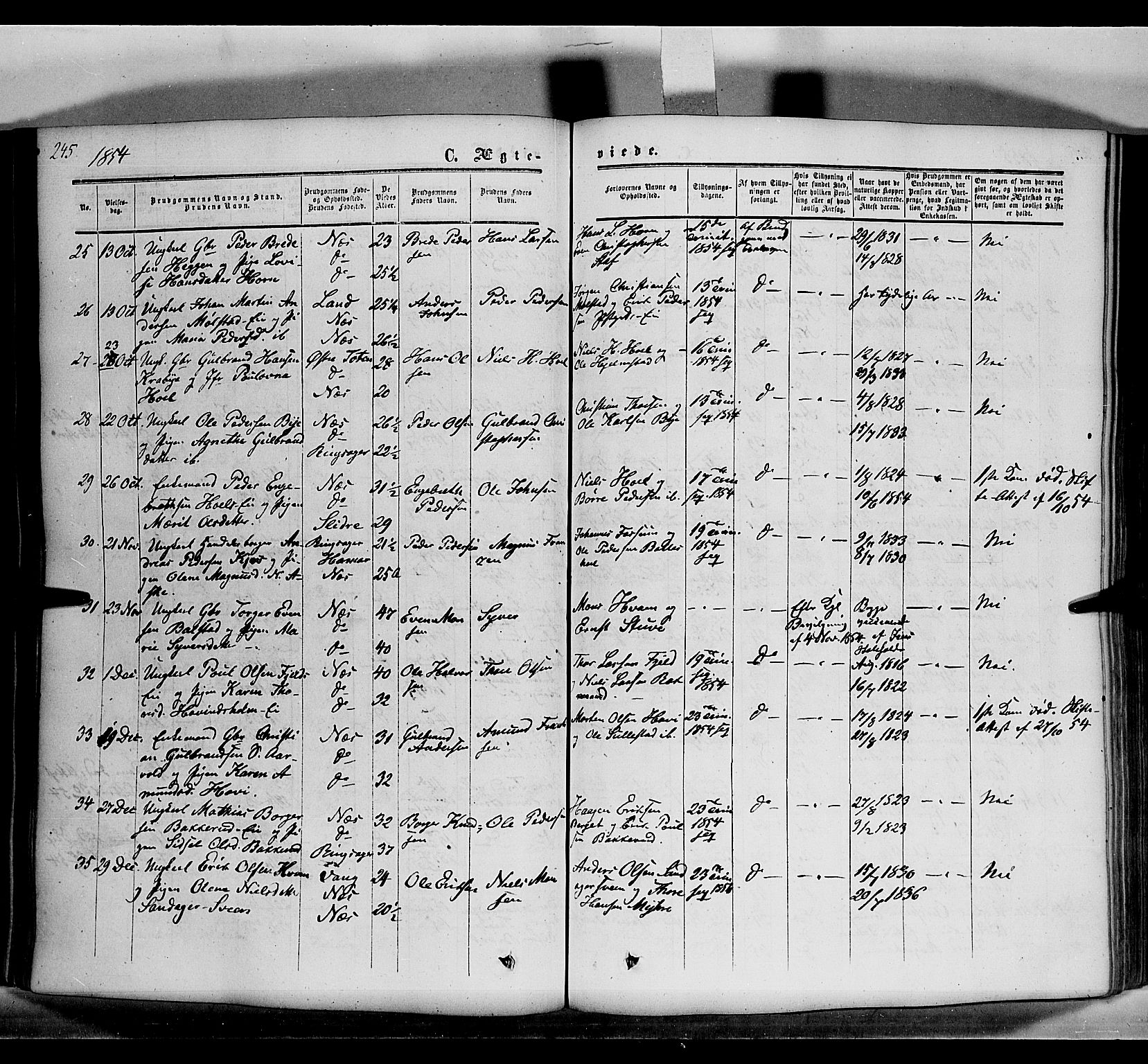 Nes prestekontor, Hedmark, AV/SAH-PREST-020/K/Ka/L0004: Parish register (official) no. 4, 1852-1886, p. 245