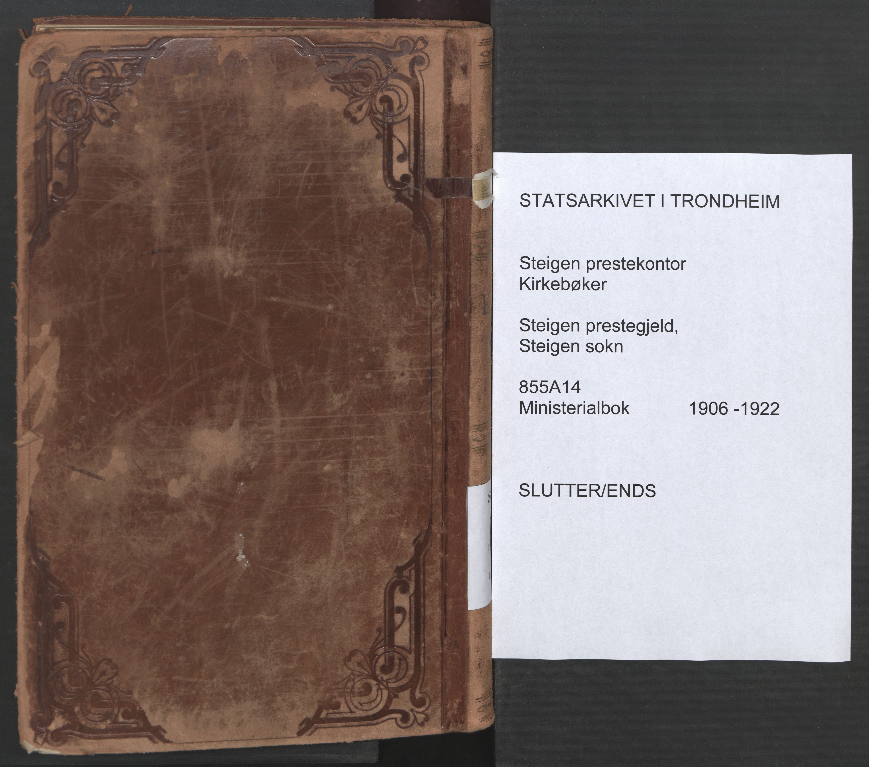 Ministerialprotokoller, klokkerbøker og fødselsregistre - Nordland, SAT/A-1459/855/L0806: Parish register (official) no. 855A14, 1906-1922