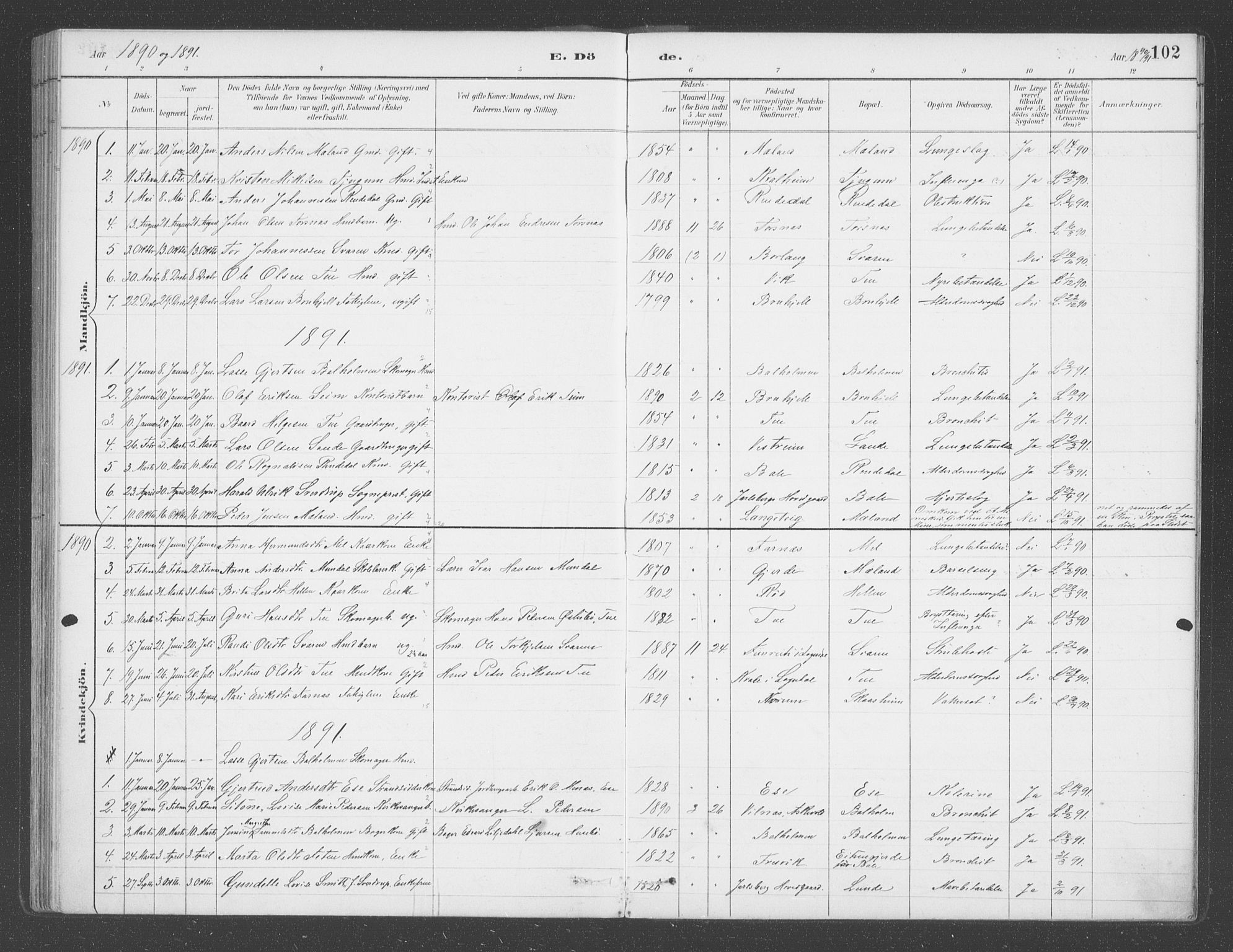 Balestrand sokneprestembete, SAB/A-79601/H/Haa/Haab/L0001: Parish register (official) no. B  1, 1889-1910, p. 102