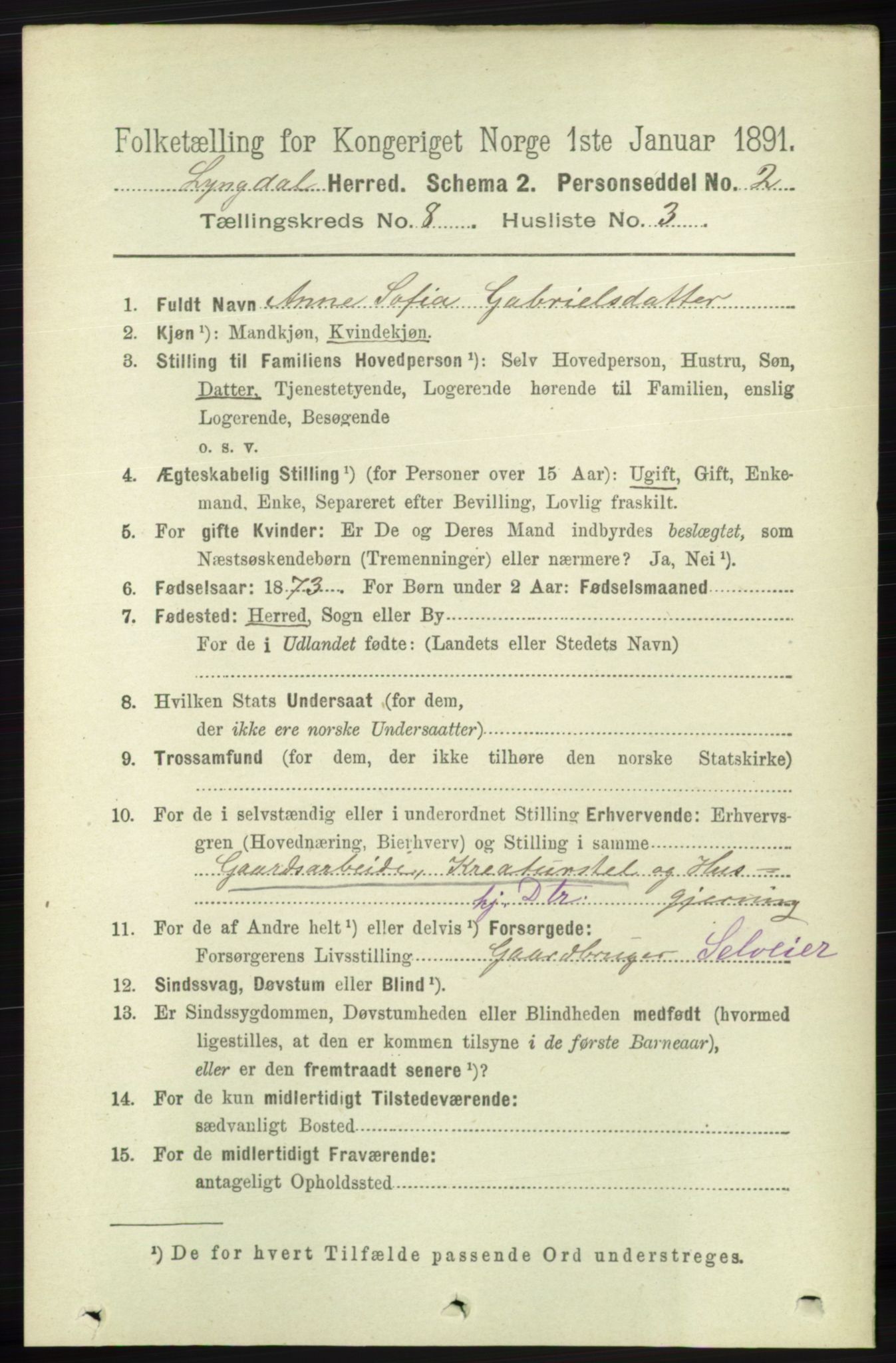 RA, 1891 census for 1032 Lyngdal, 1891, p. 3384