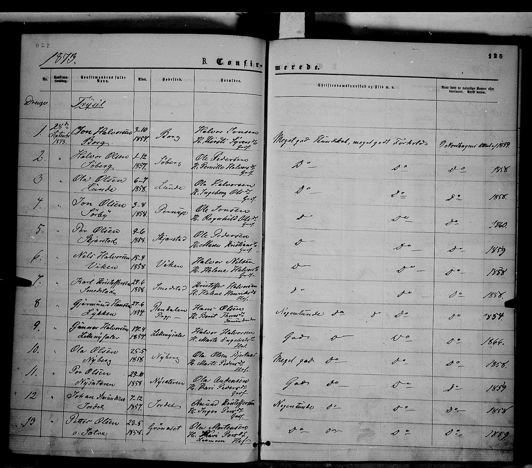 Trysil prestekontor, AV/SAH-PREST-046/H/Ha/Haa/L0006: Parish register (official) no. 6, 1866-1873, p. 120