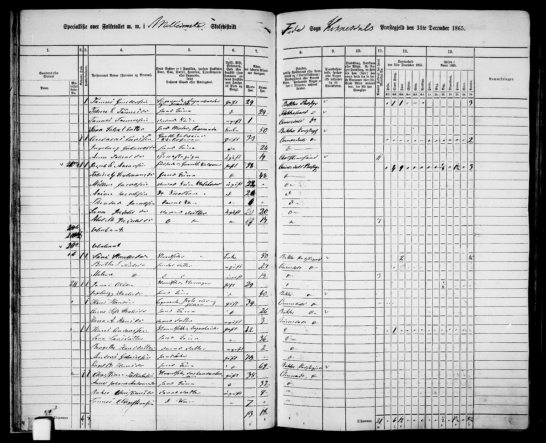 RA, 1865 census for Kvinesdal, 1865, p. 39