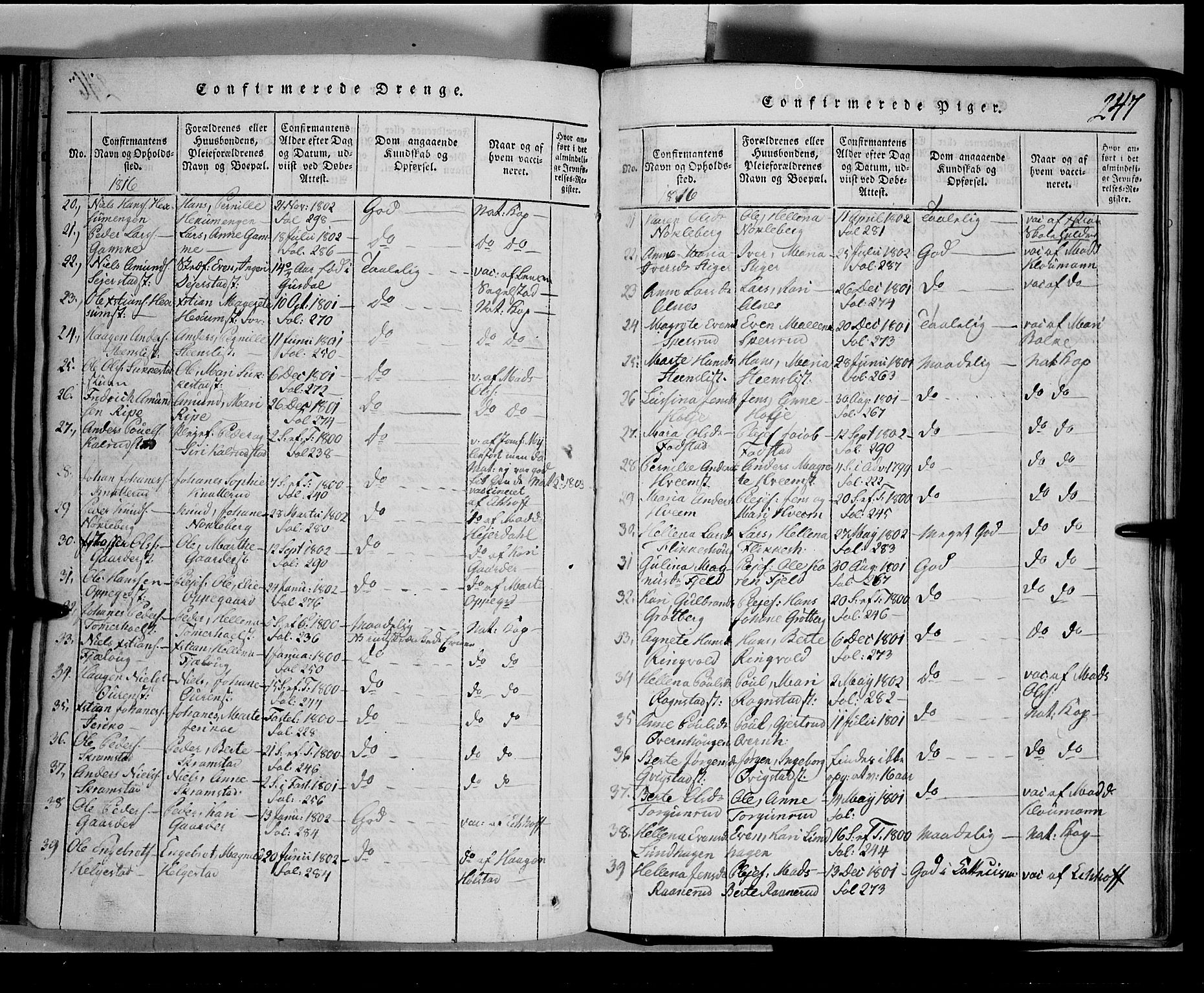 Toten prestekontor, SAH/PREST-102/H/Ha/Hab/L0001: Parish register (copy) no. 1, 1814-1820, p. 247