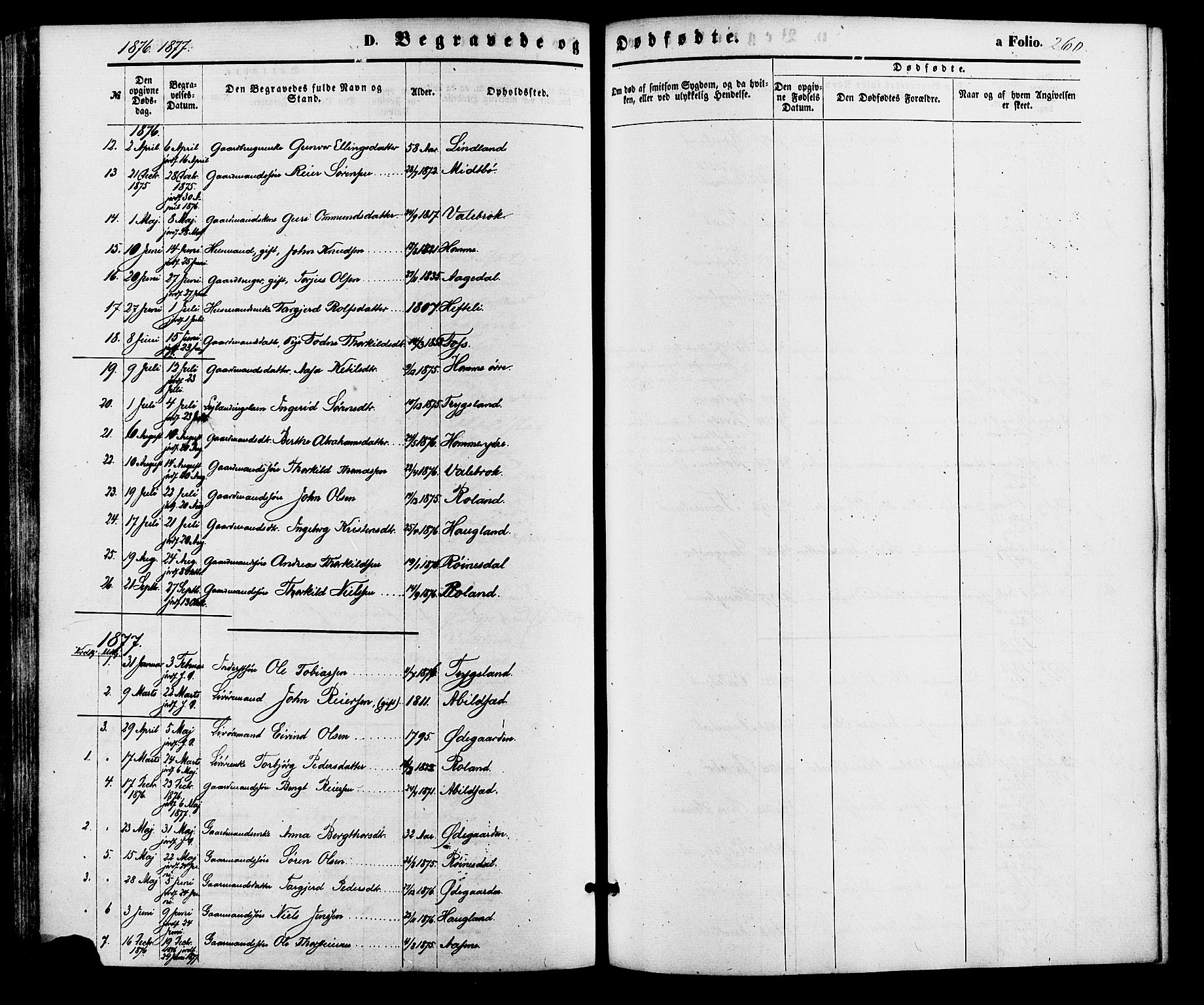 Bjelland sokneprestkontor, SAK/1111-0005/F/Fa/Faa/L0003: Parish register (official) no. A 3, 1867-1887, p. 260