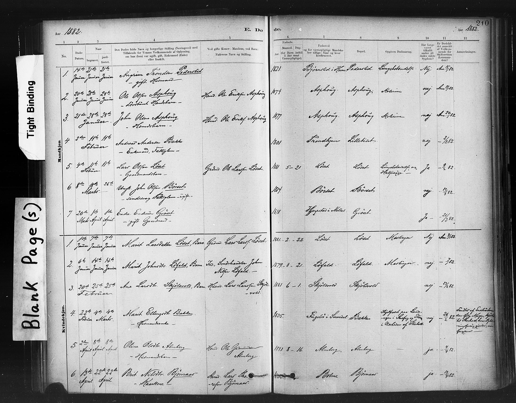 Ministerialprotokoller, klokkerbøker og fødselsregistre - Møre og Romsdal, AV/SAT-A-1454/598/L1069: Parish register (official) no. 598A03, 1882-1895, p. 210