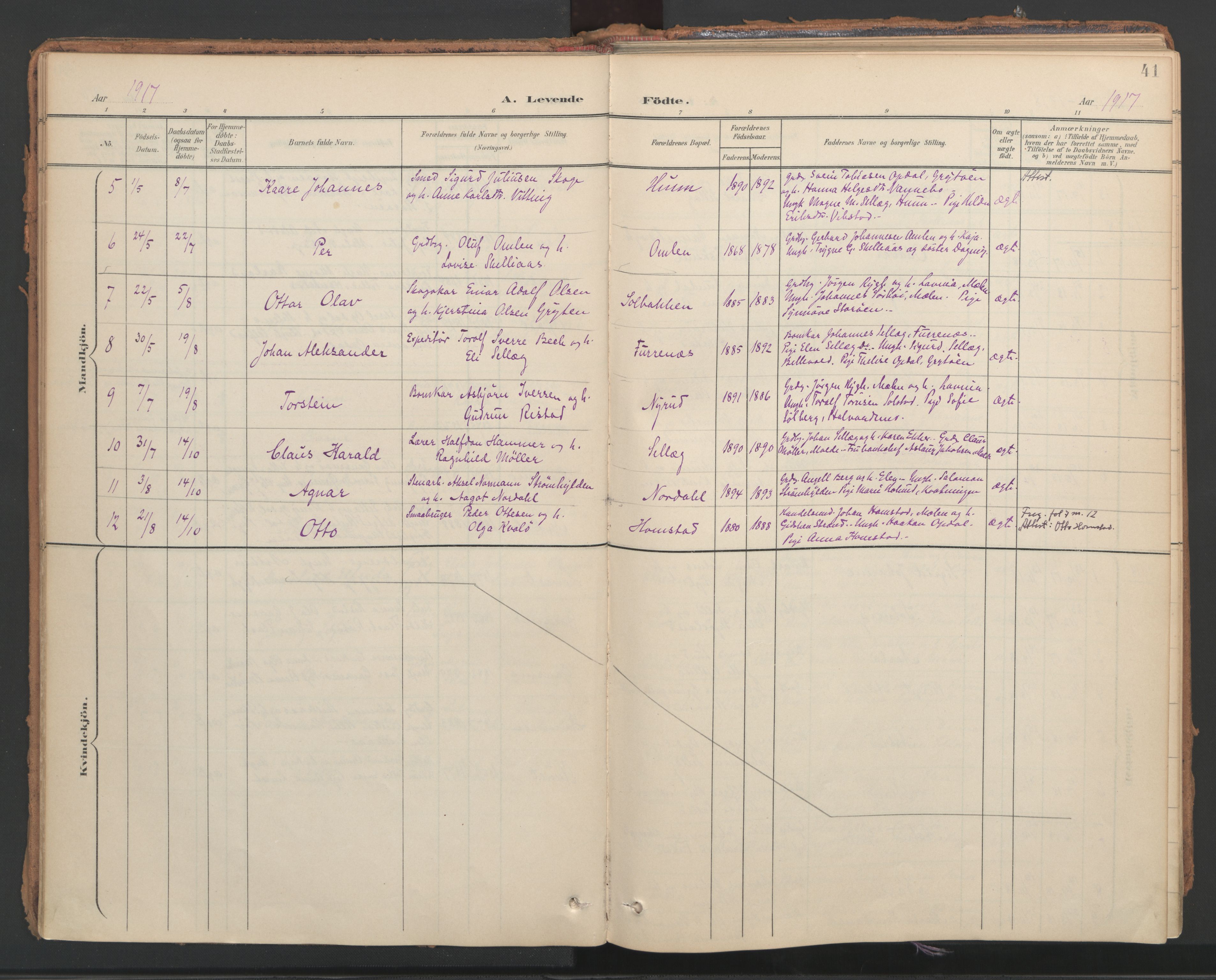 Ministerialprotokoller, klokkerbøker og fødselsregistre - Nord-Trøndelag, AV/SAT-A-1458/766/L0564: Parish register (official) no. 767A02, 1900-1932, p. 41