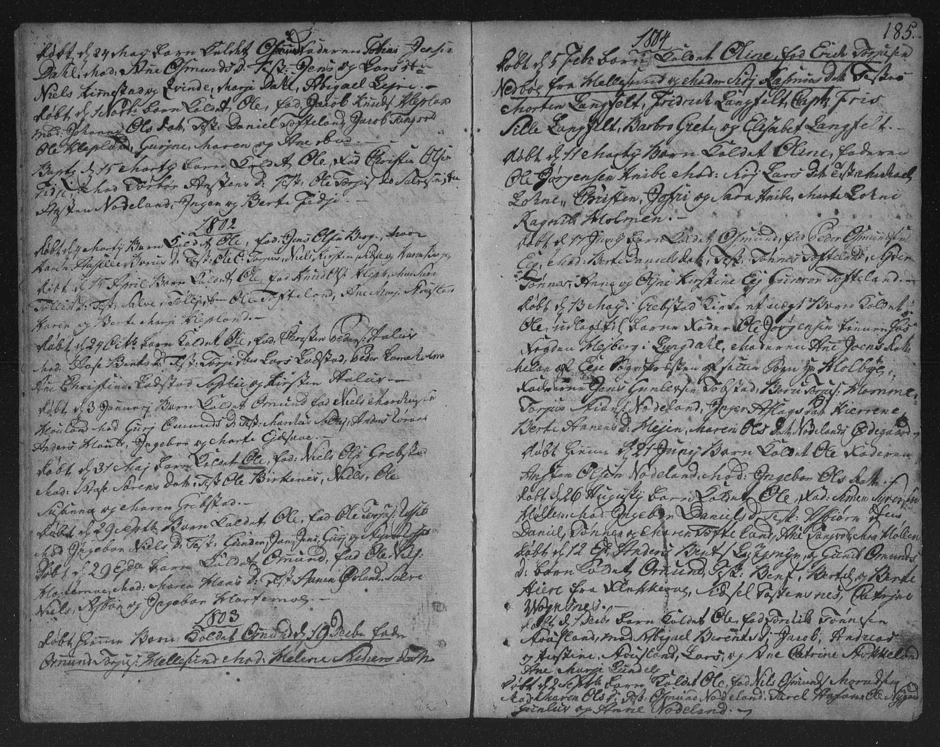 Søgne sokneprestkontor, SAK/1111-0037/F/Fa/Fab/L0005: Parish register (official) no. A 5, 1791-1820, p. 185