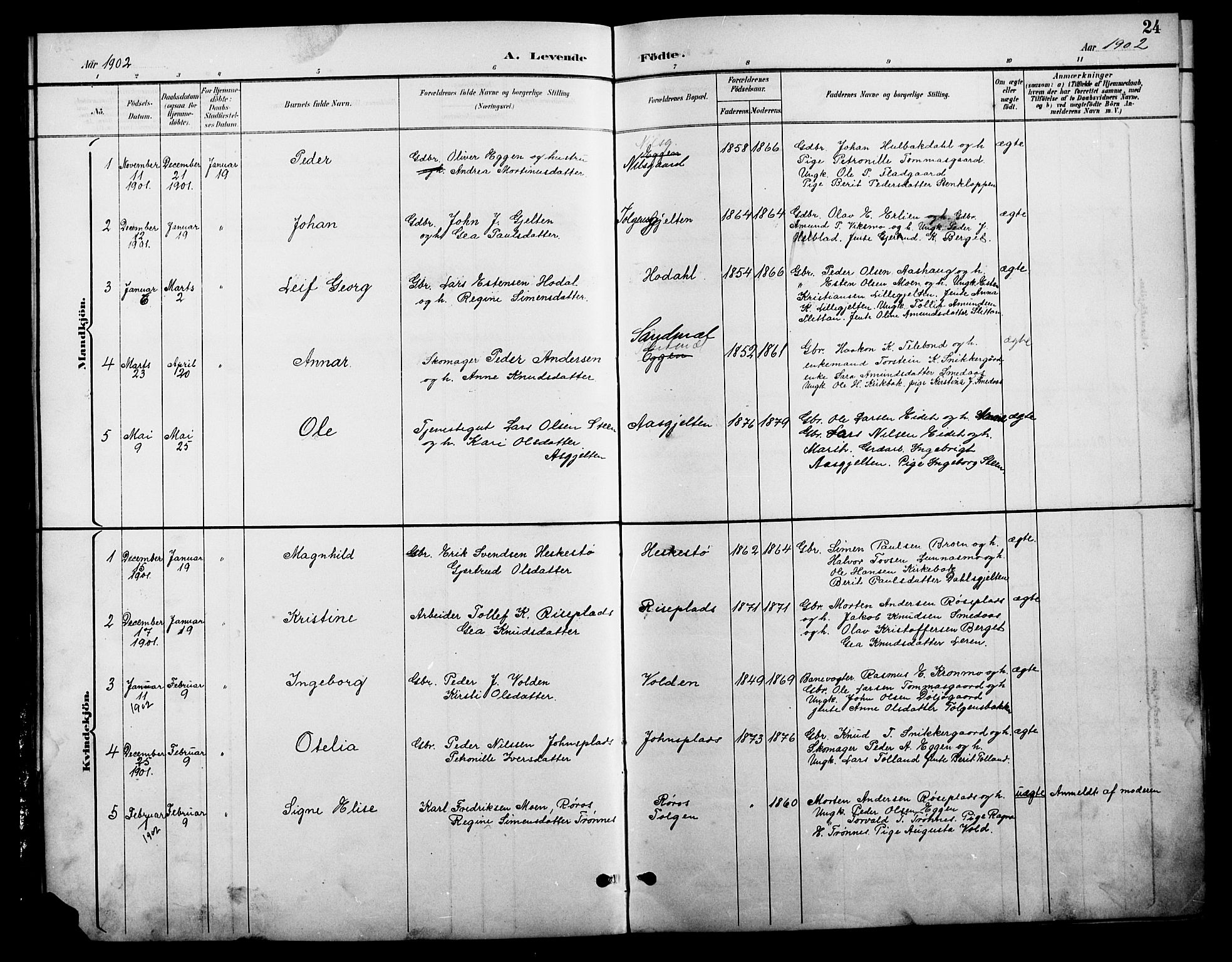 Tolga prestekontor, SAH/PREST-062/L/L0009: Parish register (copy) no. 9, 1892-1919, p. 24