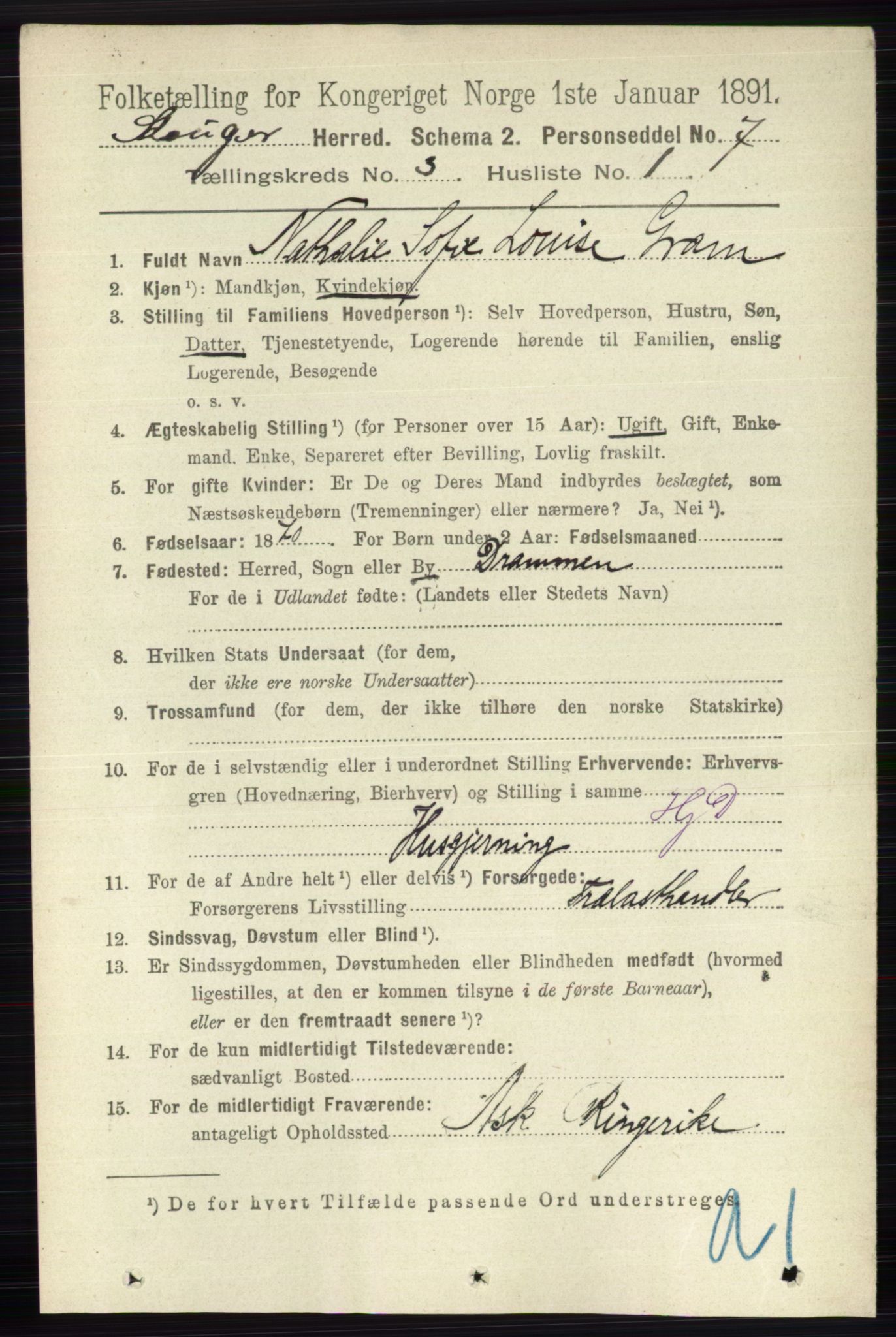 RA, 1891 census for 0712 Skoger, 1891, p. 1565