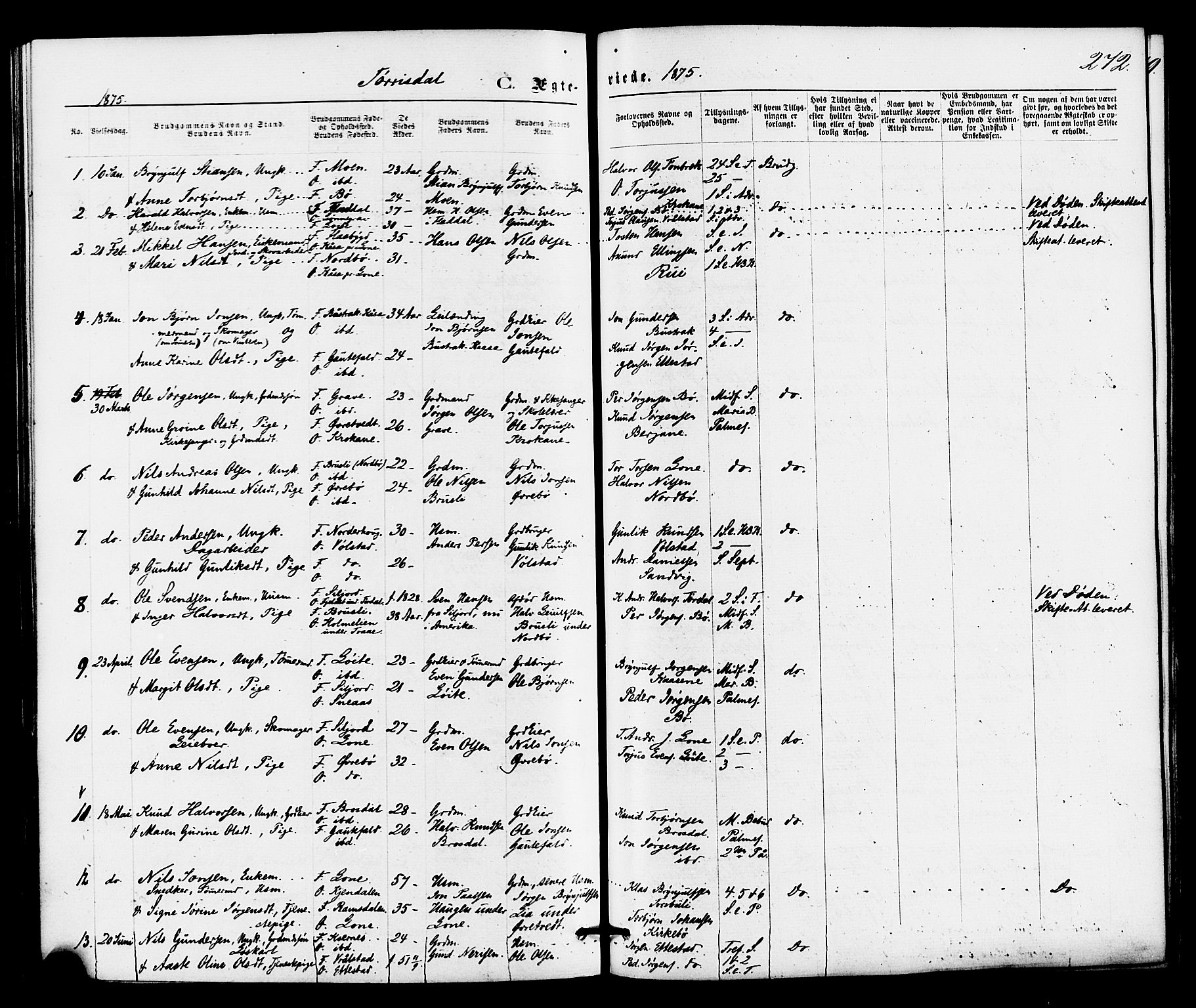 Drangedal kirkebøker, SAKO/A-258/F/Fa/L0009: Parish register (official) no. 9 /2, 1872-1884, p. 272