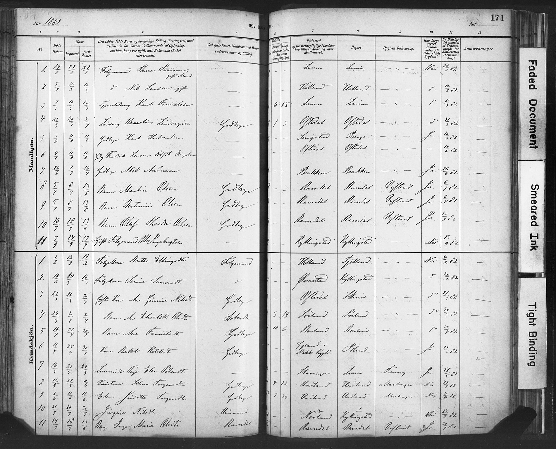 Lye sokneprestkontor, SAST/A-101794/001/30BA/L0010: Parish register (official) no. A 10, 1881-1896, p. 171