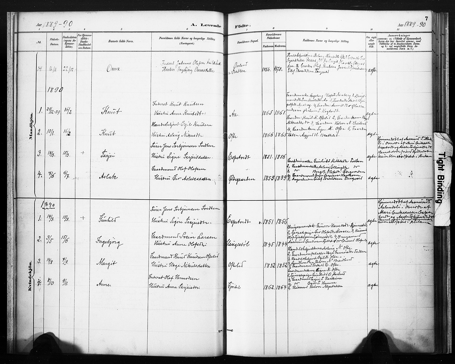 Lårdal kirkebøker, SAKO/A-284/F/Fc/L0002: Parish register (official) no. III 2, 1887-1906, p. 7