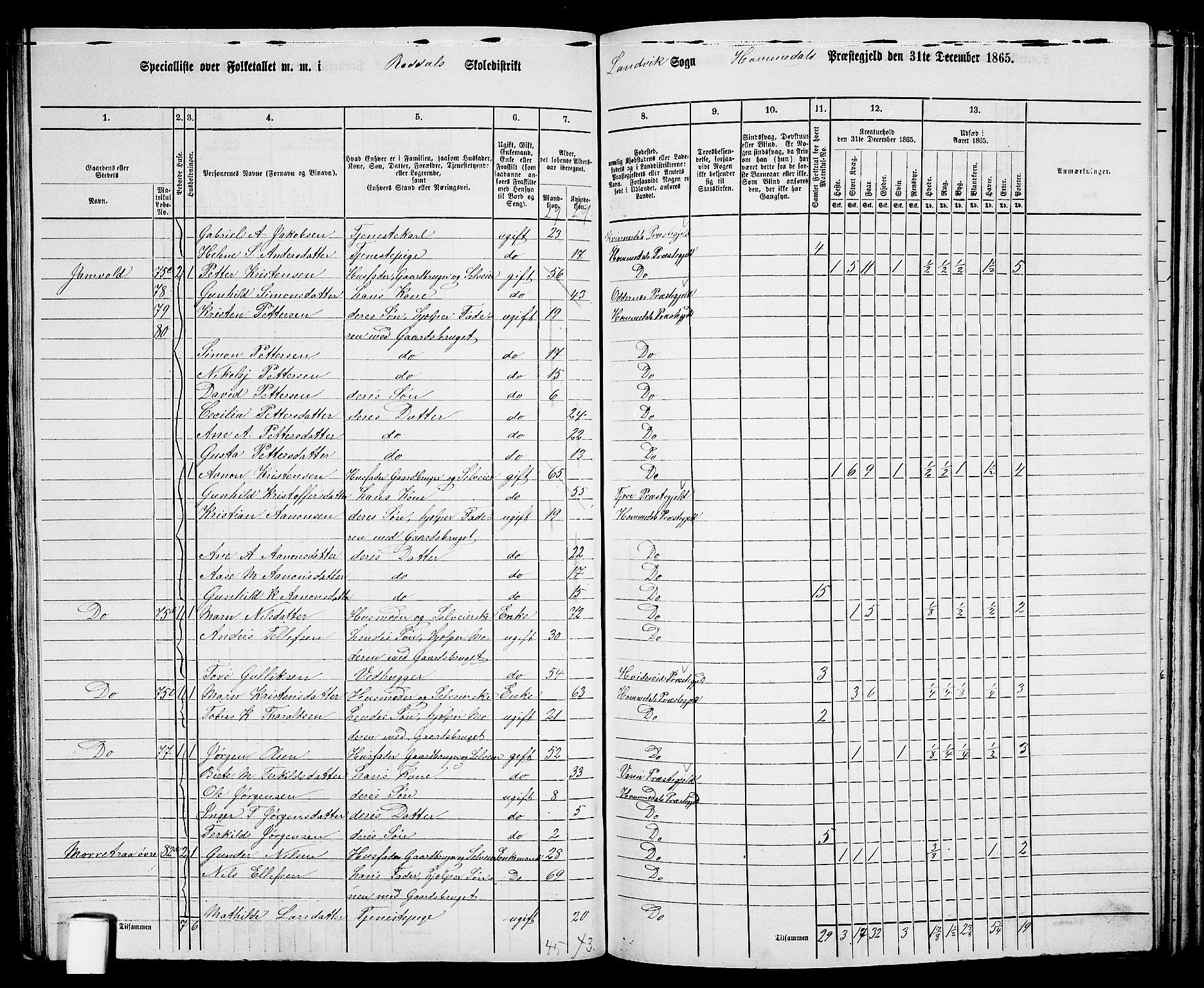 RA, 1865 census for Homedal, 1865, p. 101