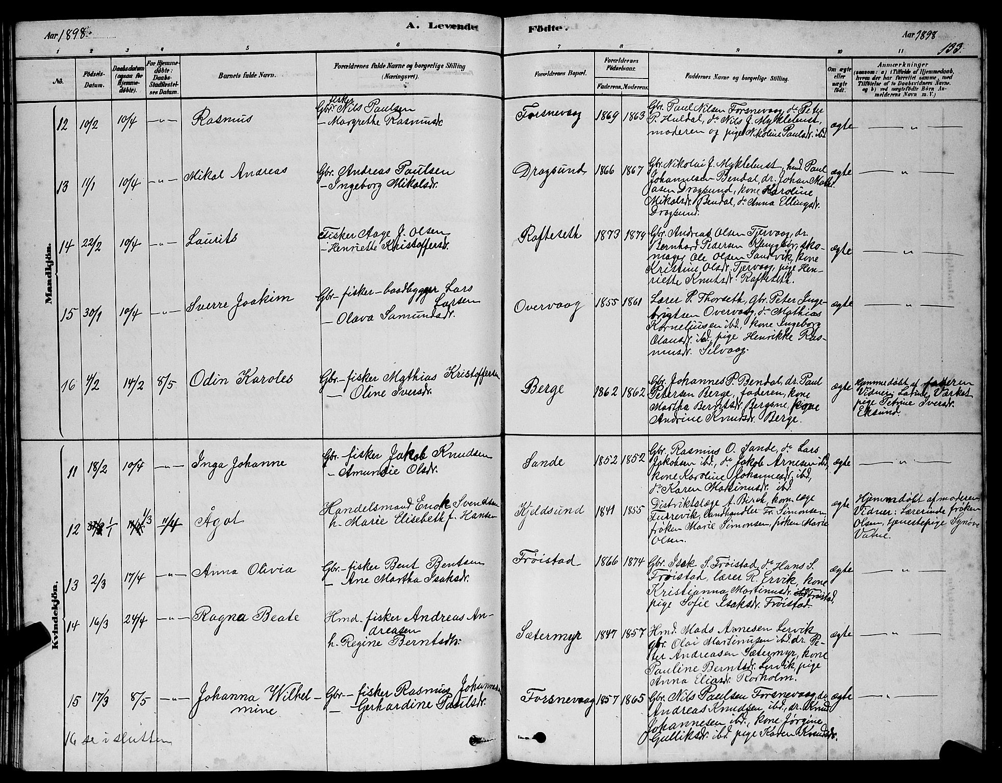 Ministerialprotokoller, klokkerbøker og fødselsregistre - Møre og Romsdal, AV/SAT-A-1454/507/L0081: Parish register (copy) no. 507C04, 1878-1898, p. 133