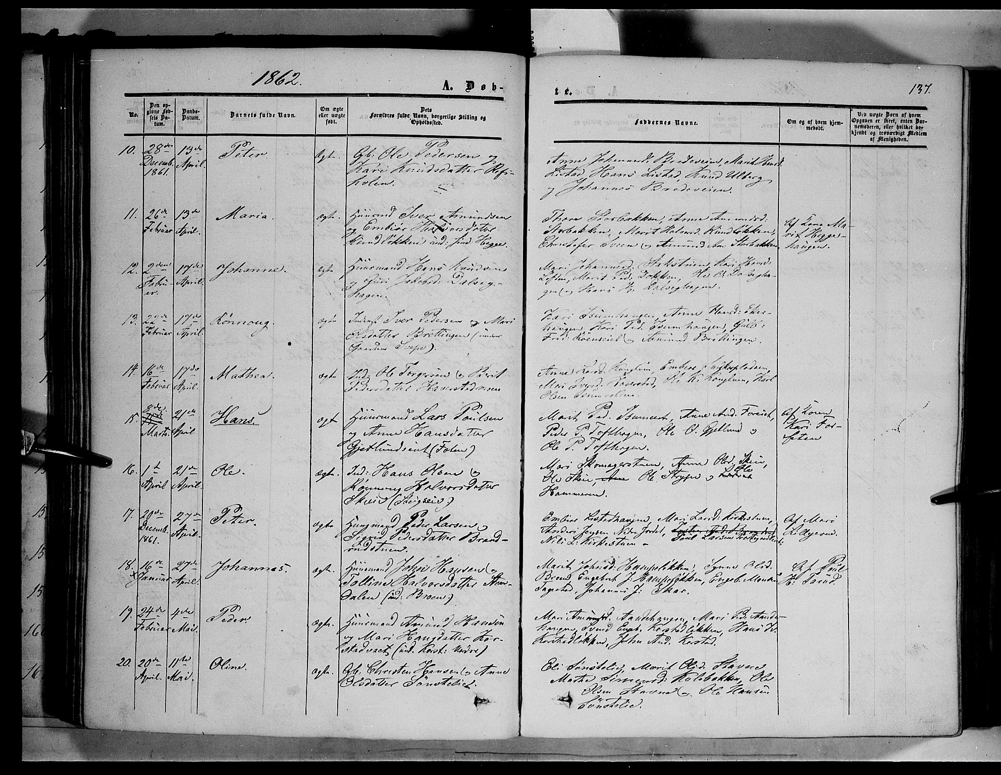 Sør-Fron prestekontor, SAH/PREST-010/H/Ha/Haa/L0001: Parish register (official) no. 1, 1849-1863, p. 137