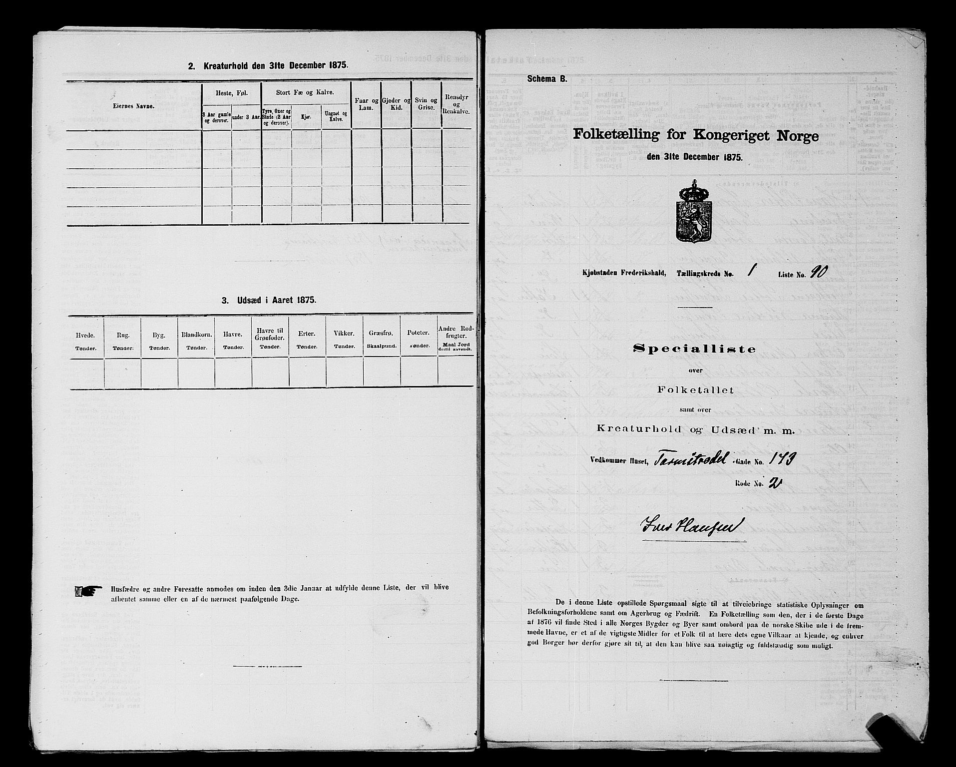 RA, 1875 census for 0101P Fredrikshald, 1875, p. 207