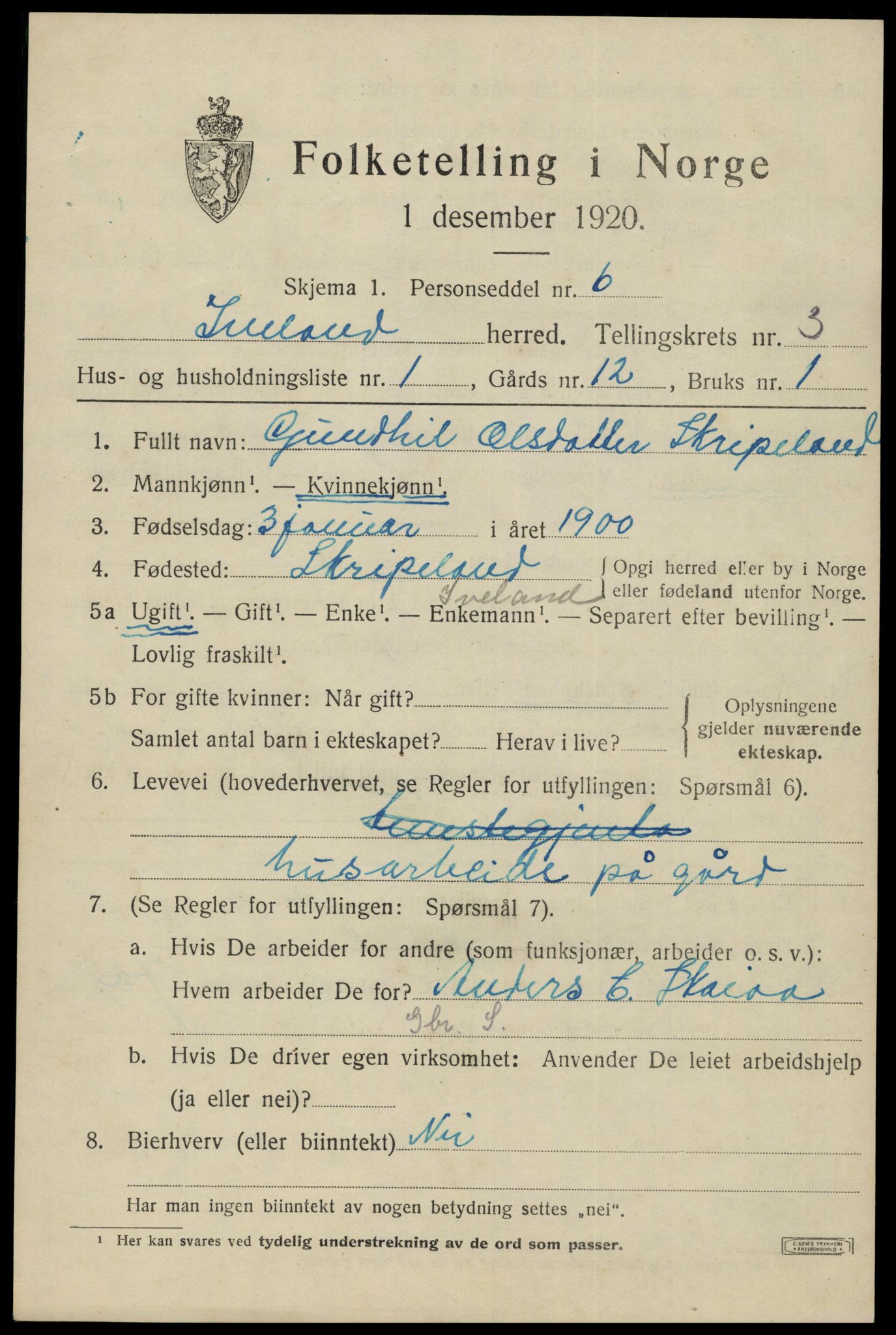 SAK, 1920 census for Iveland, 1920, p. 943