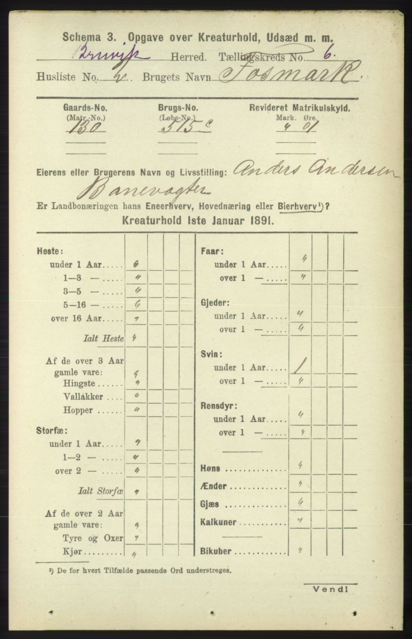 RA, 1891 census for 1251 Bruvik, 1891, p. 4560