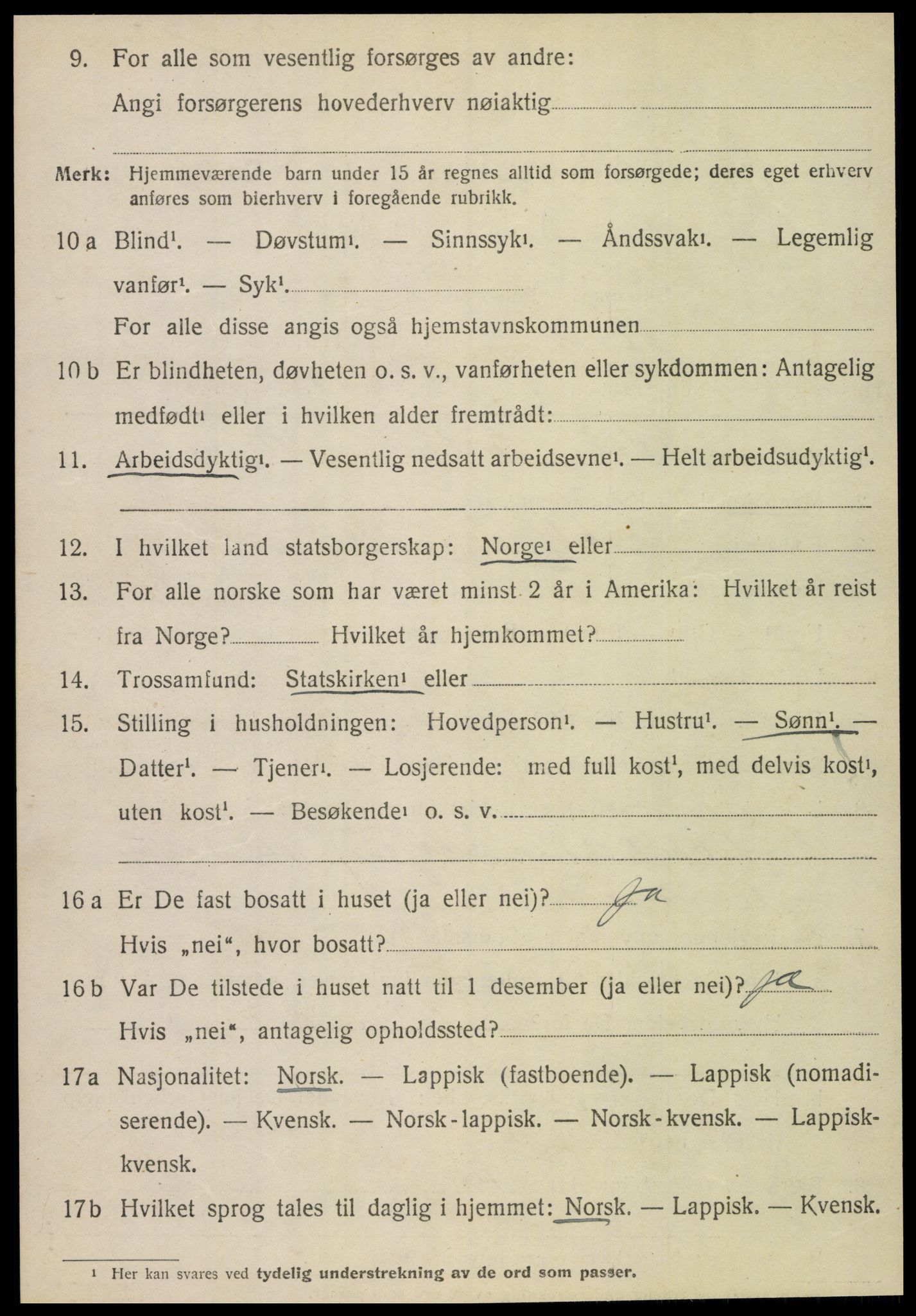 SAT, 1920 census for Fauske, 1920, p. 16961