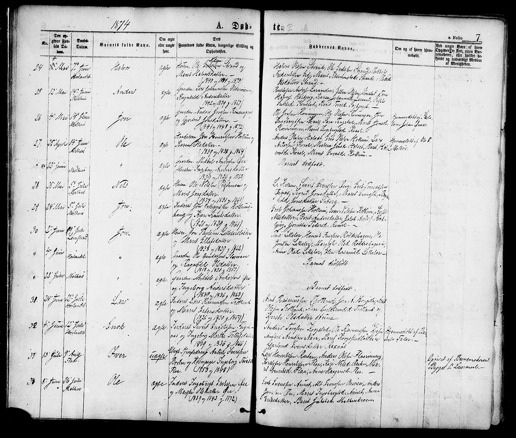 Ministerialprotokoller, klokkerbøker og fødselsregistre - Sør-Trøndelag, AV/SAT-A-1456/691/L1079: Parish register (official) no. 691A11, 1873-1886, p. 7