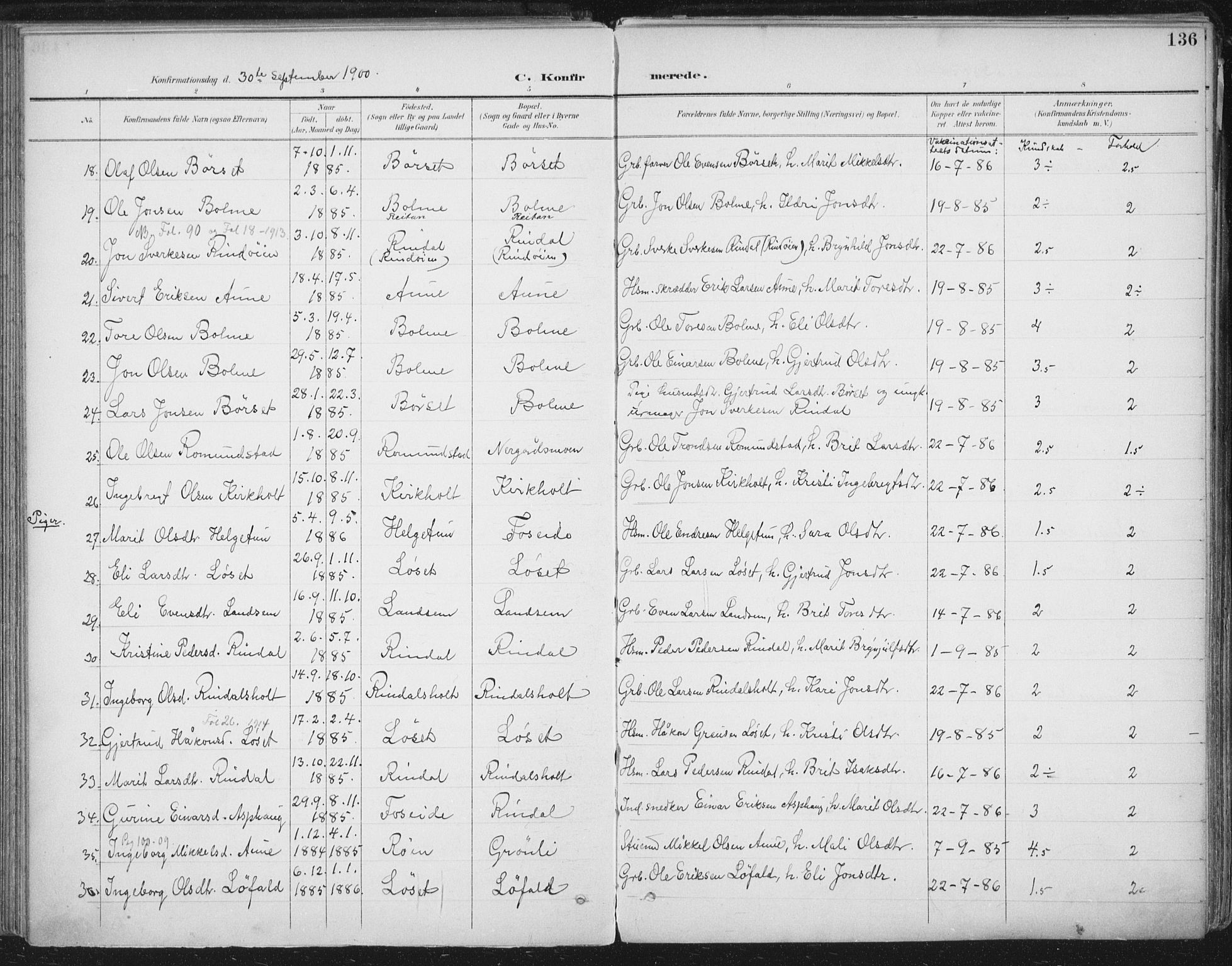 Ministerialprotokoller, klokkerbøker og fødselsregistre - Møre og Romsdal, AV/SAT-A-1454/598/L1072: Parish register (official) no. 598A06, 1896-1910, p. 136