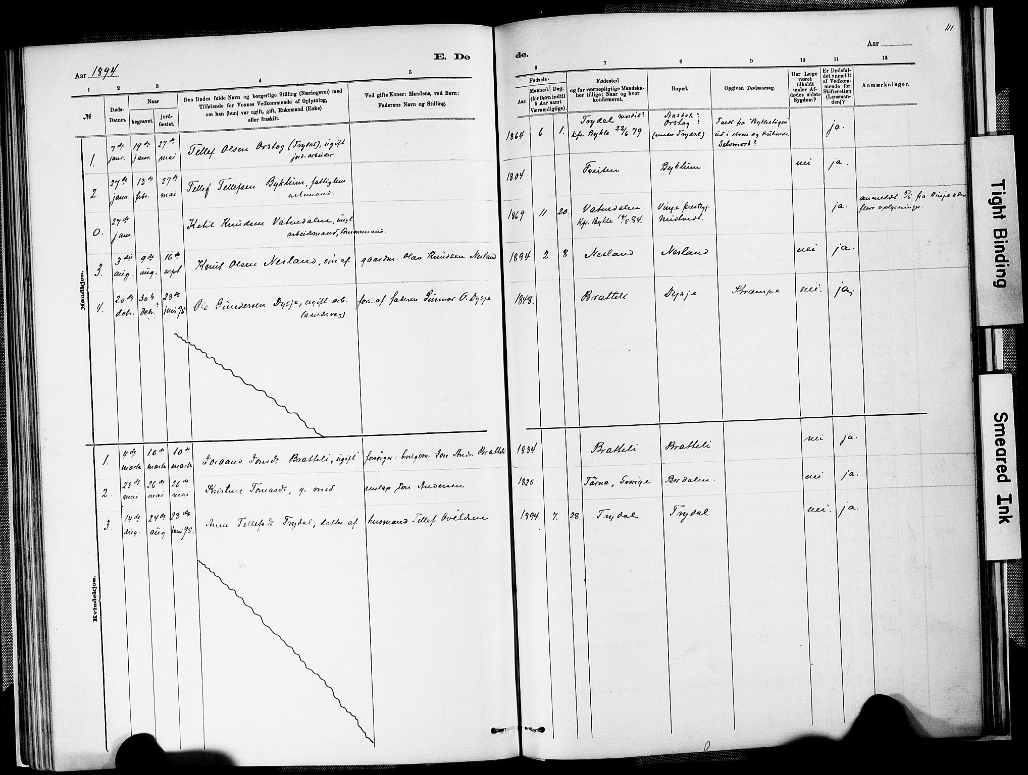 Valle sokneprestkontor, AV/SAK-1111-0044/F/Fa/Faa/L0001: Parish register (official) no. A 1, 1882-1907, p. 111