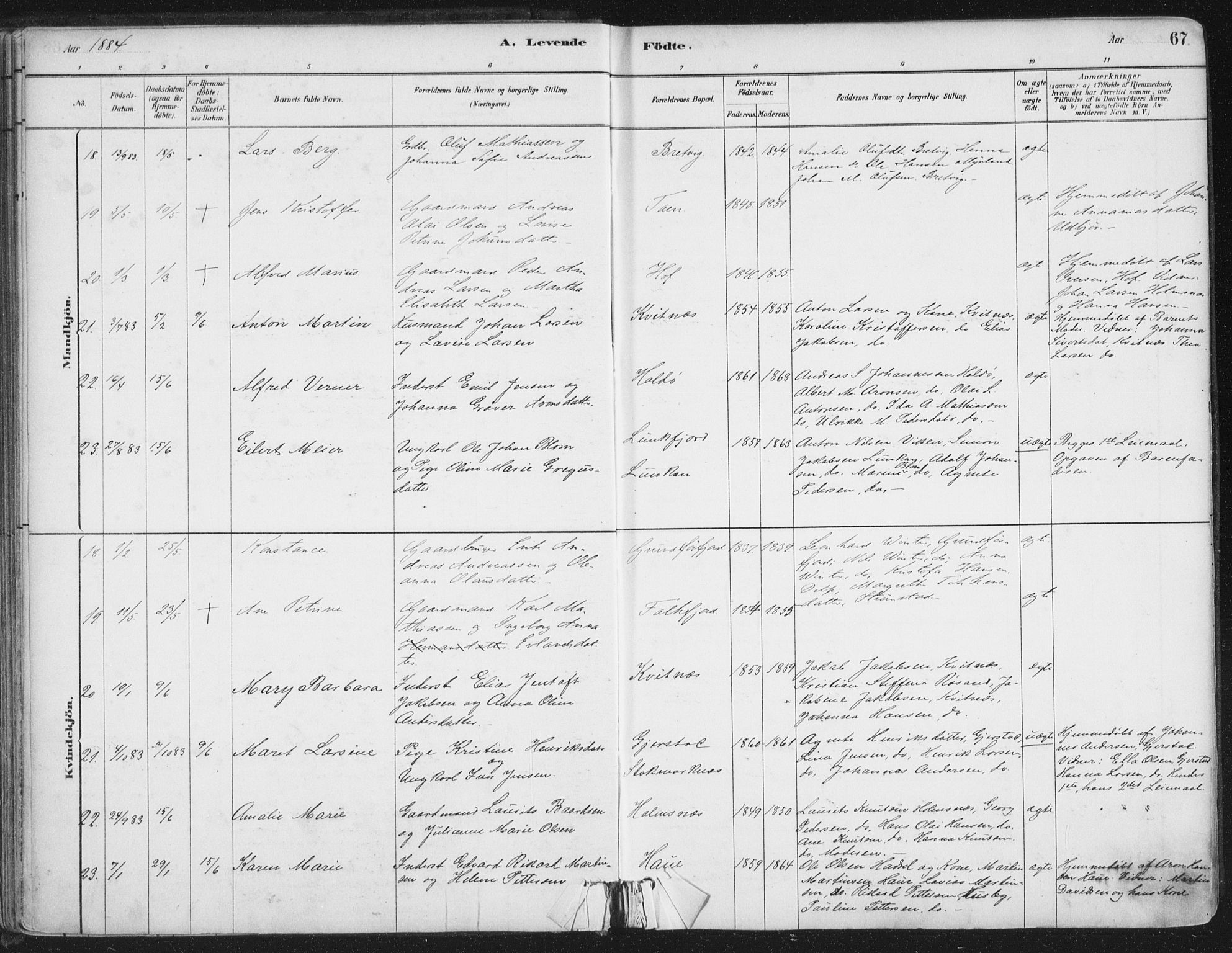 Ministerialprotokoller, klokkerbøker og fødselsregistre - Nordland, AV/SAT-A-1459/888/L1244: Parish register (official) no. 888A10, 1880-1890, p. 67