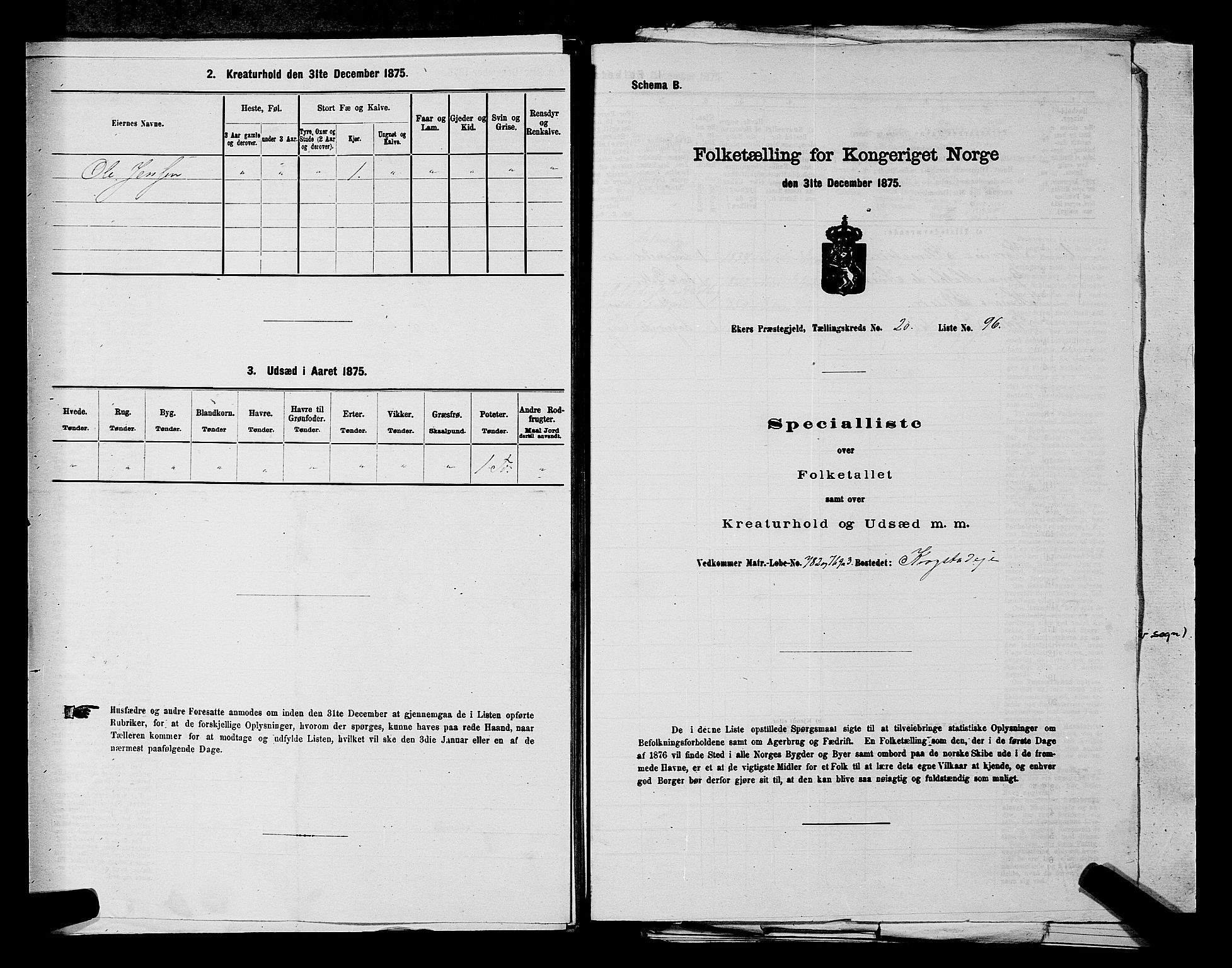 SAKO, 1875 census for 0624P Eiker, 1875, p. 3779