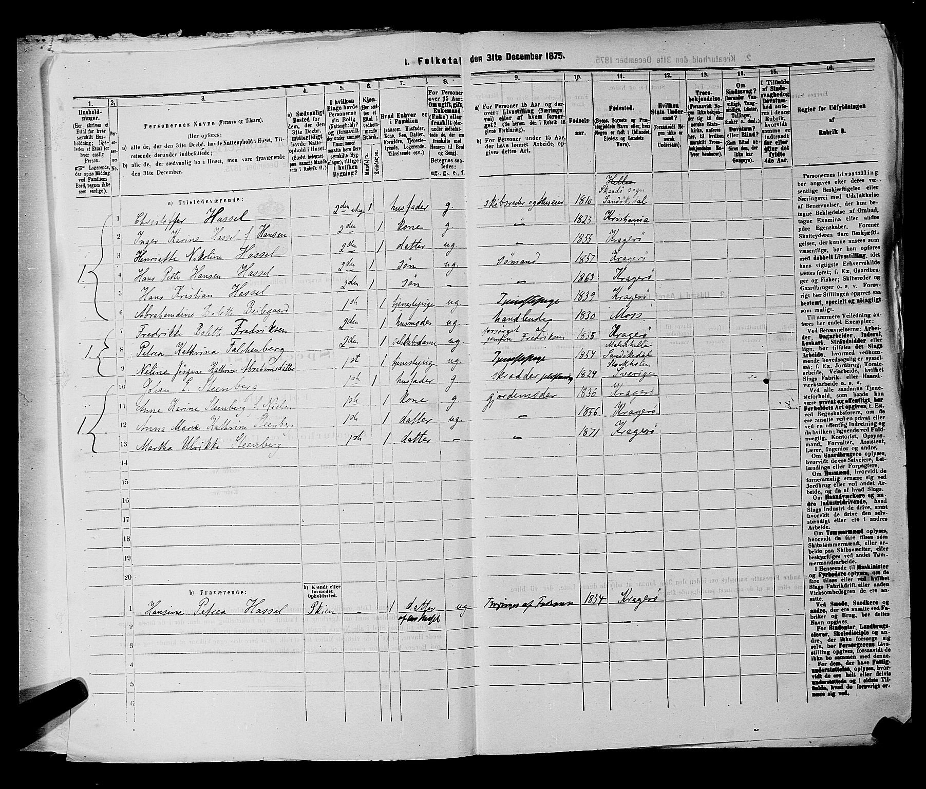 SAKO, 1875 census for 0801P Kragerø, 1875, p. 236