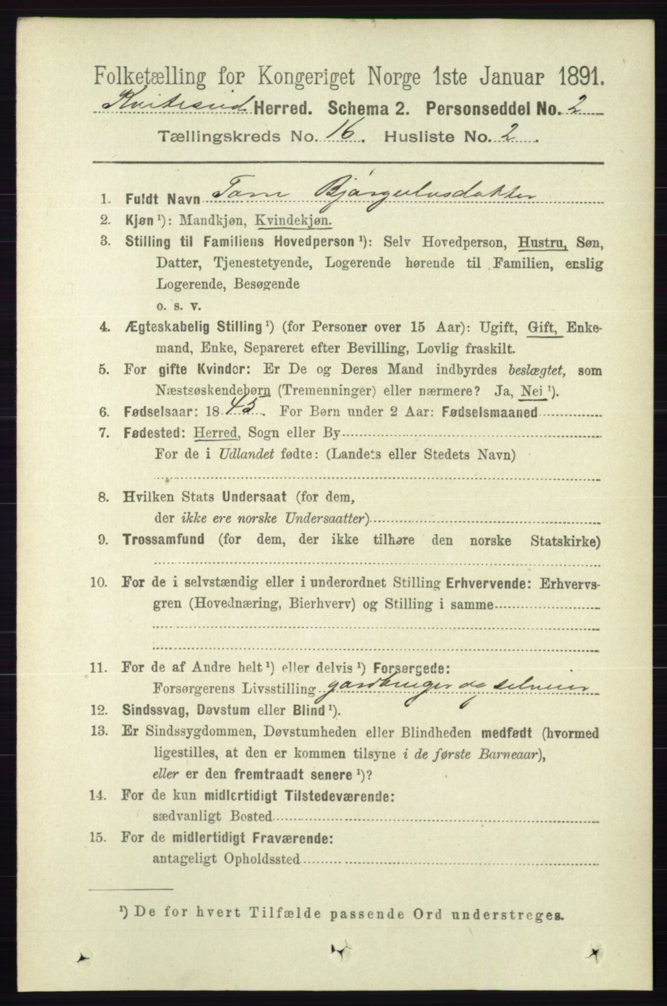 RA, 1891 census for 0829 Kviteseid, 1891, p. 3645