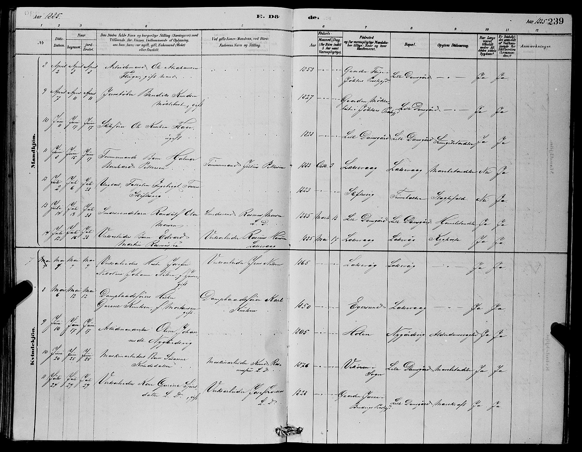 Laksevåg Sokneprestembete, SAB/A-76501/H/Ha/Hab/Haba/L0002: Parish register (copy) no. A 2, 1877-1887, p. 239