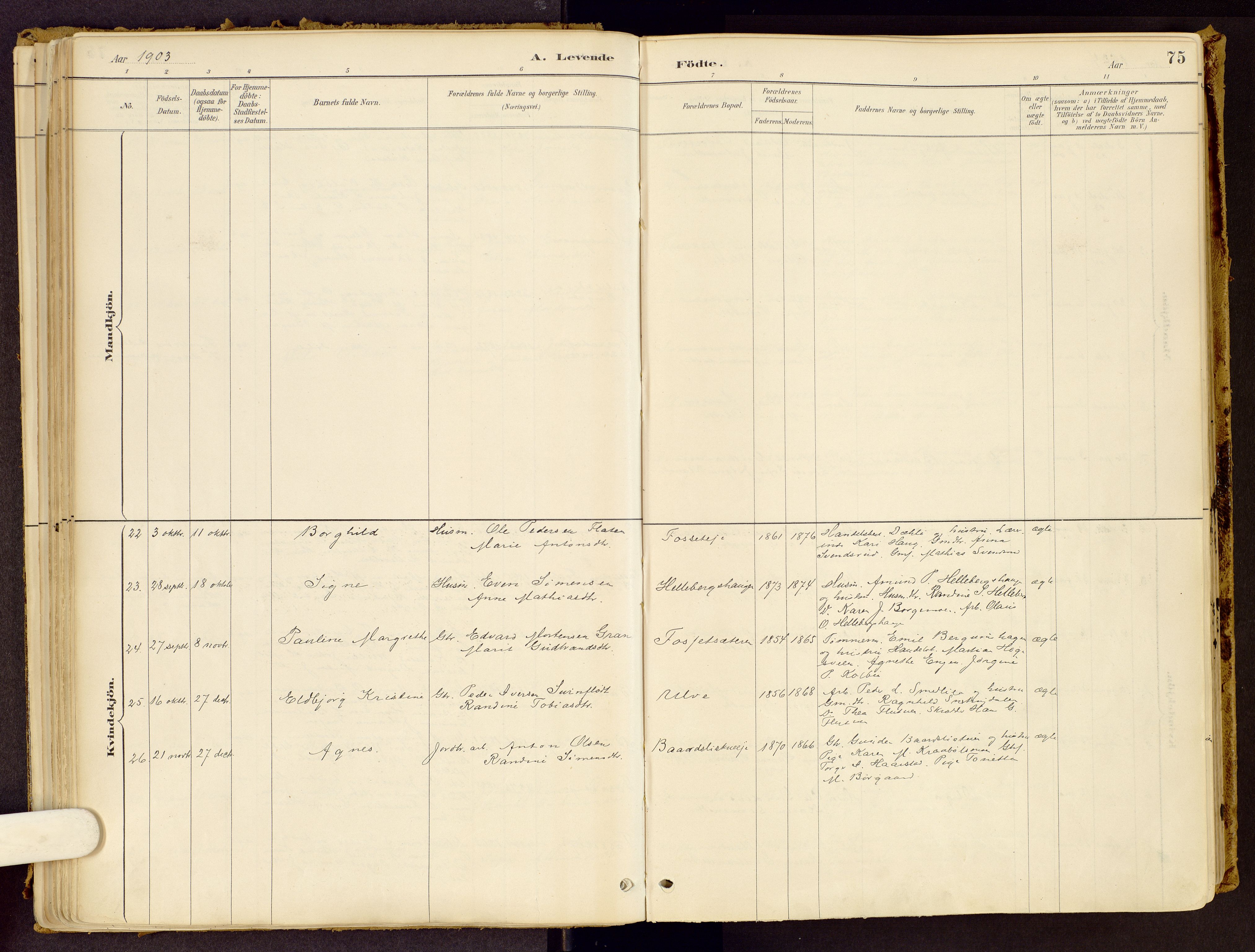 Vestre Gausdal prestekontor, SAH/PREST-094/H/Ha/Haa/L0001: Parish register (official) no. 1, 1887-1914, p. 75