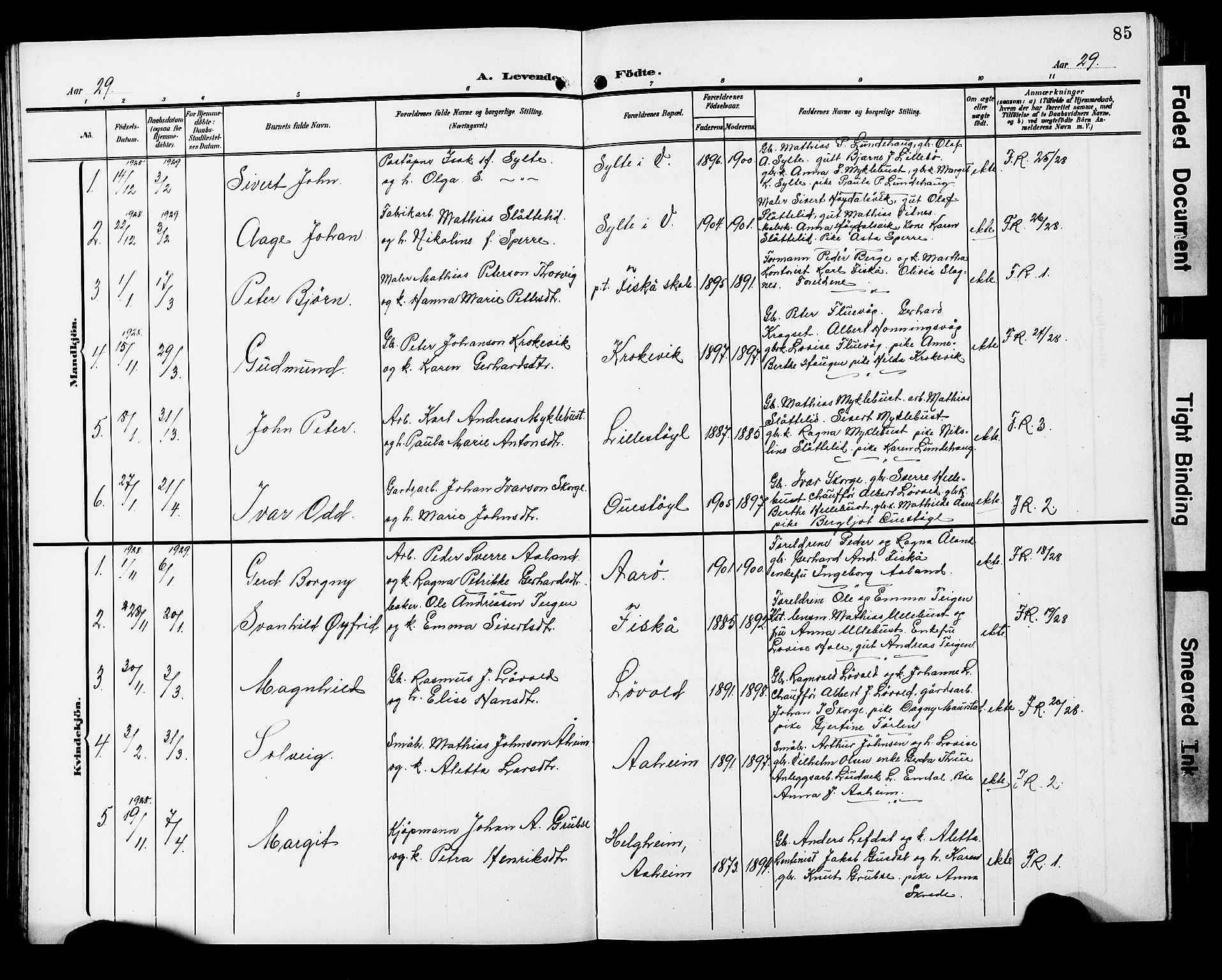 Ministerialprotokoller, klokkerbøker og fødselsregistre - Møre og Romsdal, SAT/A-1454/501/L0018: Parish register (copy) no. 501C04, 1902-1930, p. 85