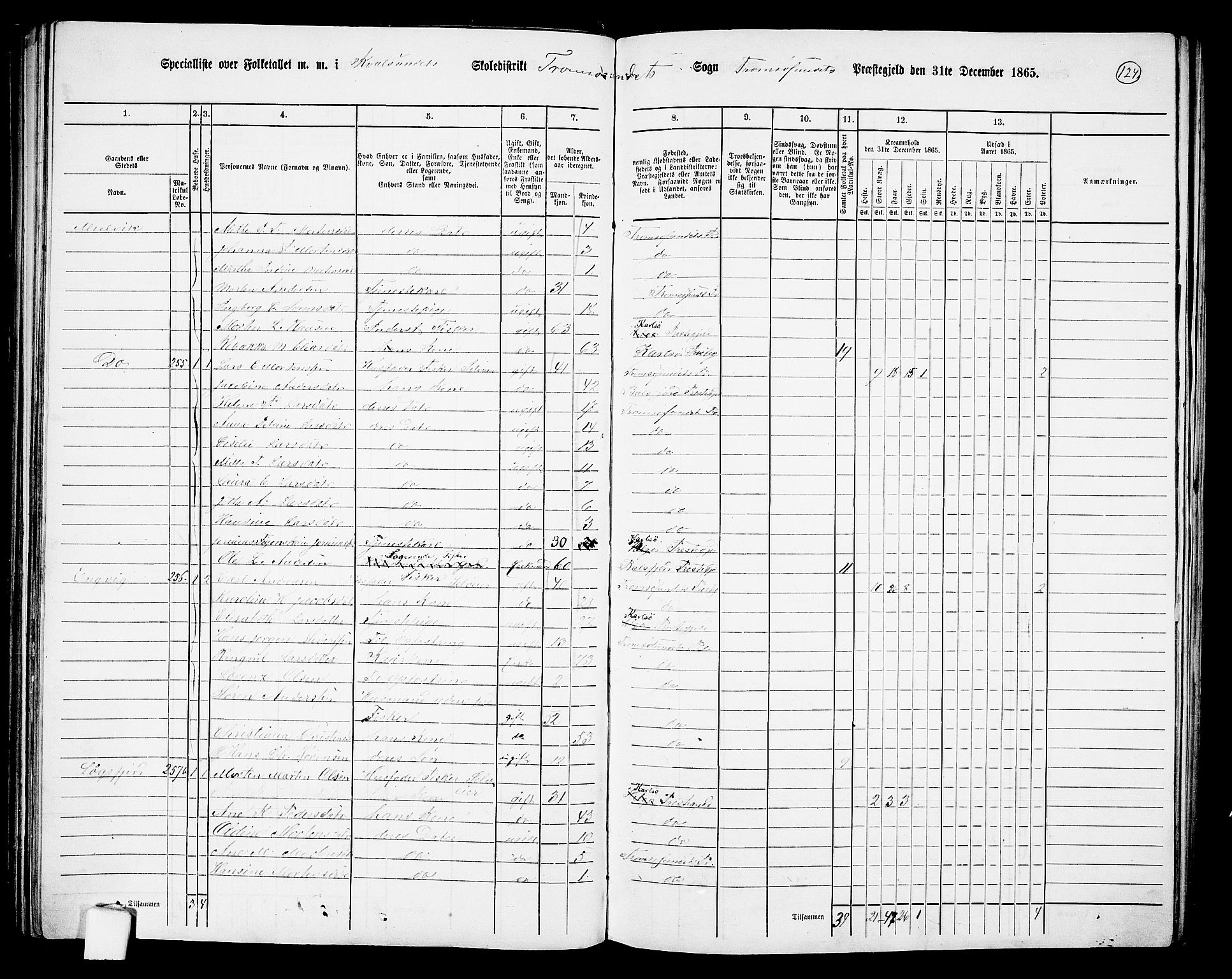 RA, 1865 census for Tromsøysund, 1865, p. 102