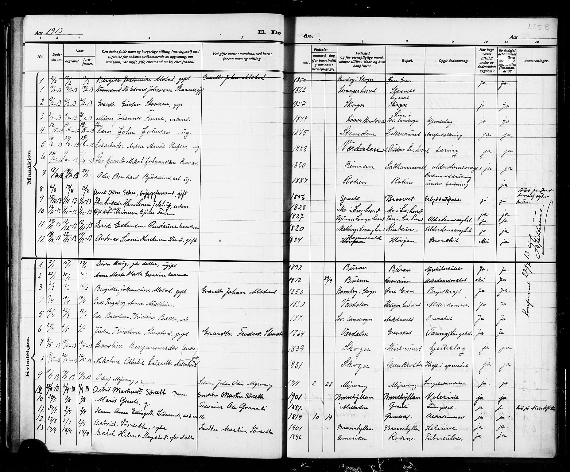 Ministerialprotokoller, klokkerbøker og fødselsregistre - Nord-Trøndelag, SAT/A-1458/721/L0208: Parish register (copy) no. 721C01, 1880-1917, p. 252d