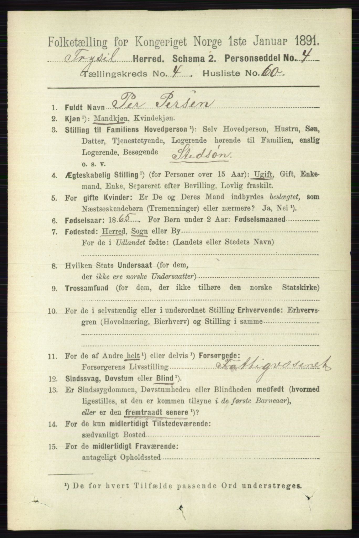 RA, 1891 census for 0428 Trysil, 1891, p. 2226