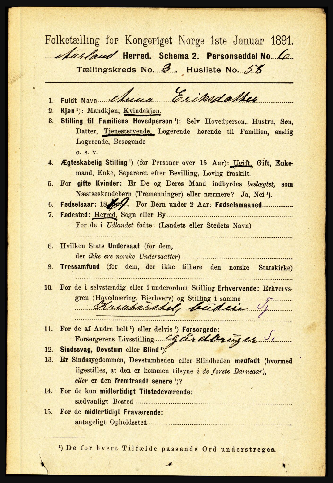 RA, 1891 census for 1421 Aurland, 1891, p. 1251