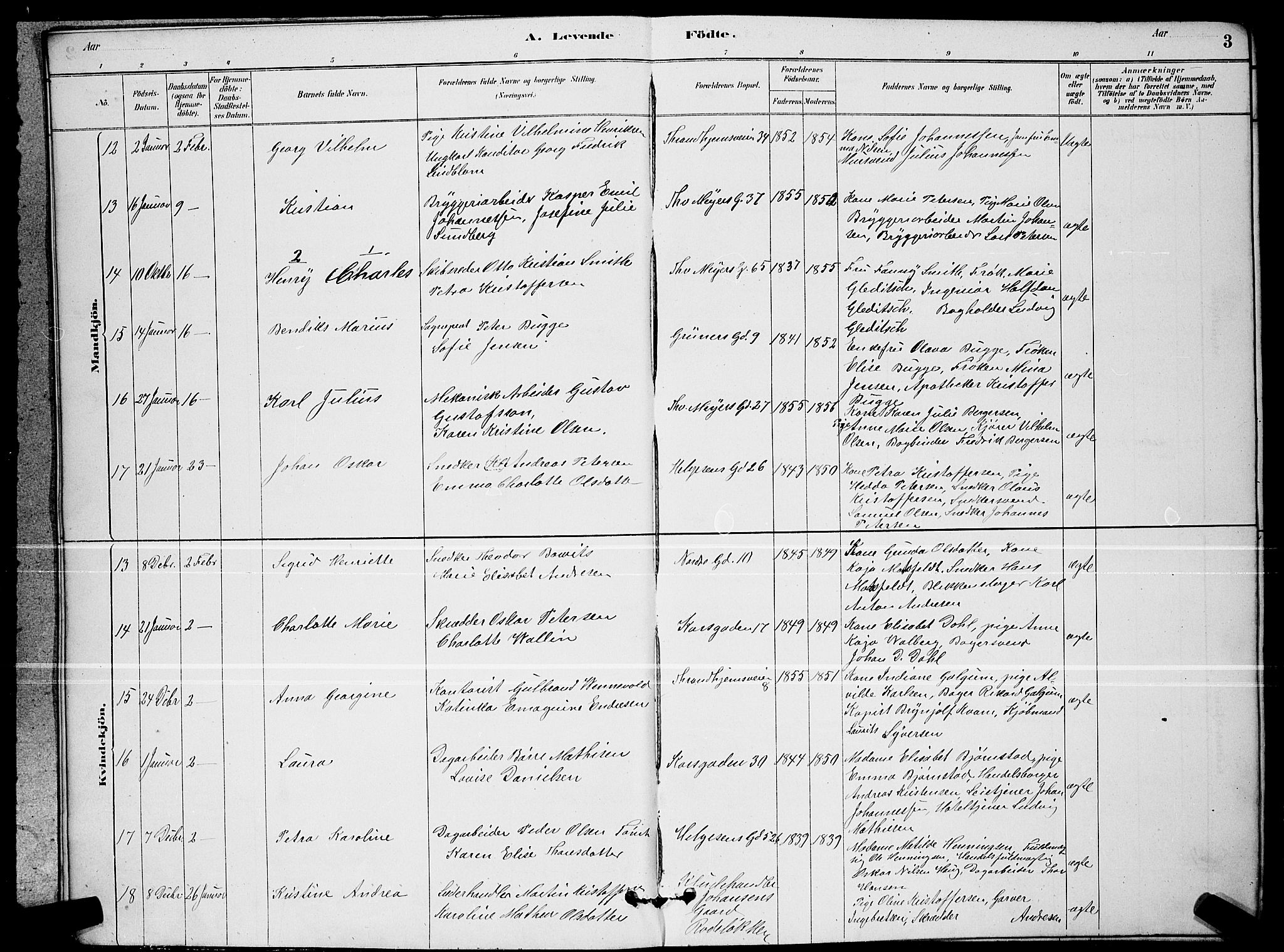 Paulus prestekontor Kirkebøker, AV/SAO-A-10871/G/Ga/L0002: Parish register (copy) no. 2, 1879-1887, p. 3