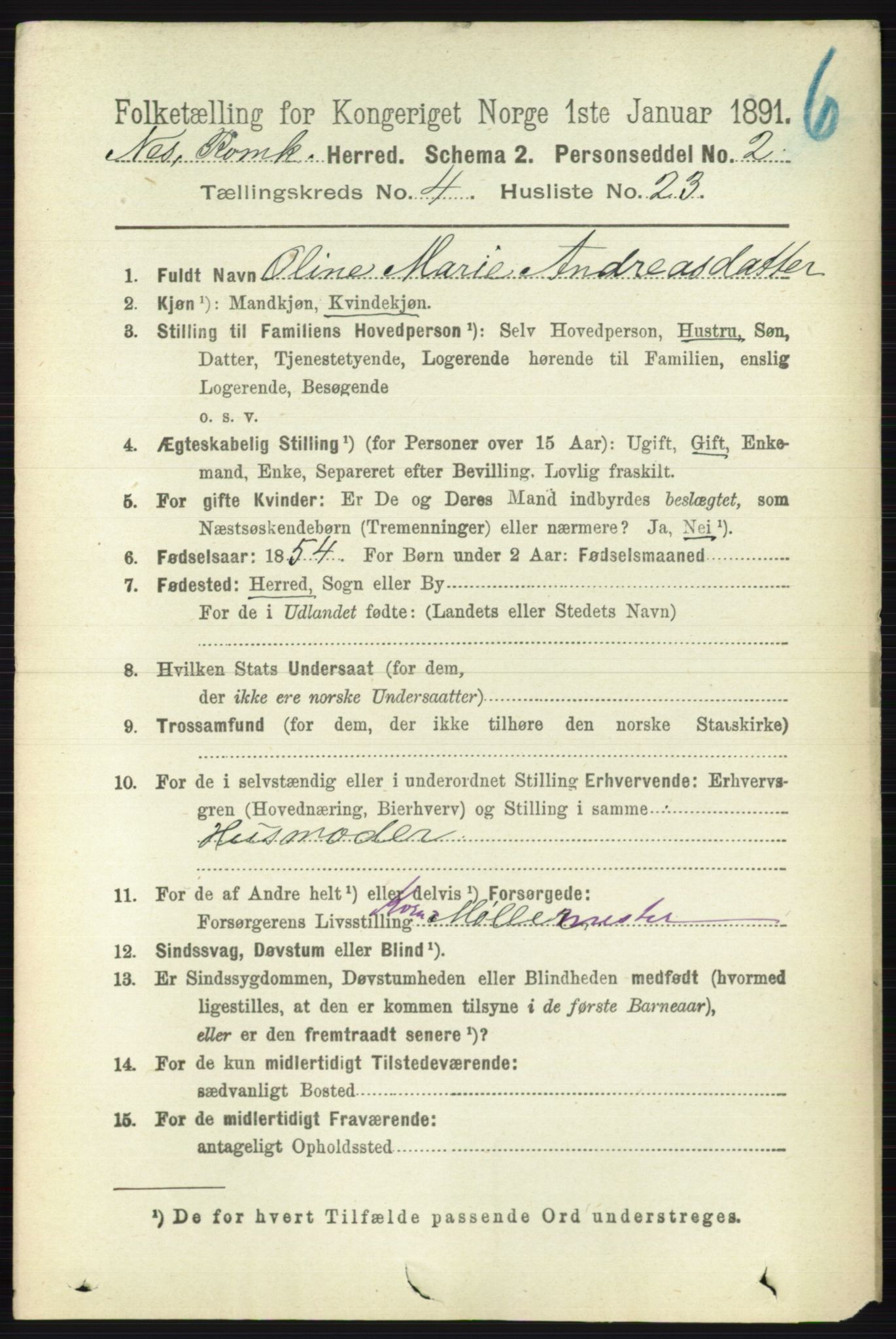 RA, 1891 census for 0236 Nes, 1891, p. 2385