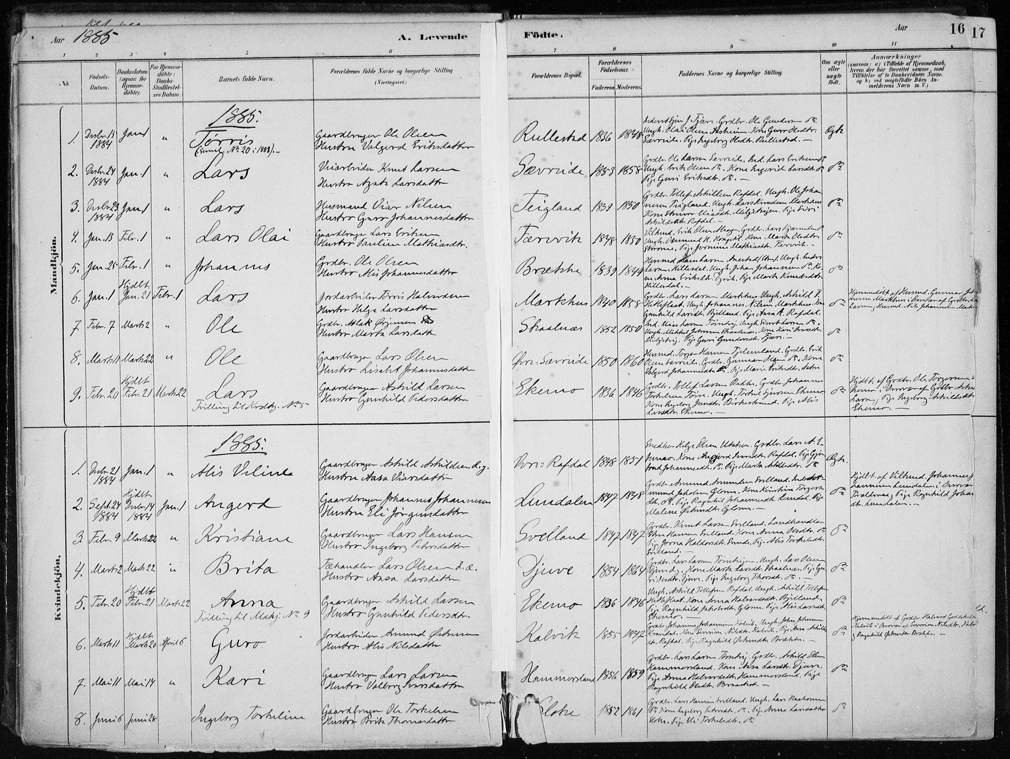 Skånevik sokneprestembete, SAB/A-77801/H/Haa: Parish register (official) no. E  1, 1879-1901, p. 16
