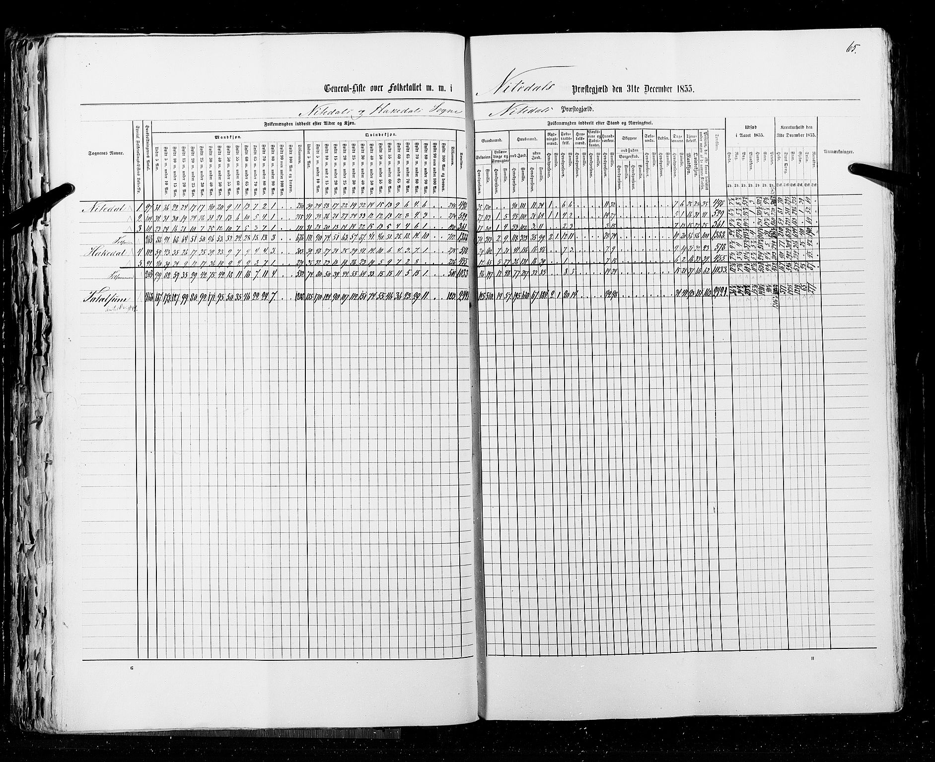 RA, Census 1855, vol. 1: Akershus amt, Smålenenes amt og Hedemarken amt, 1855, p. 65