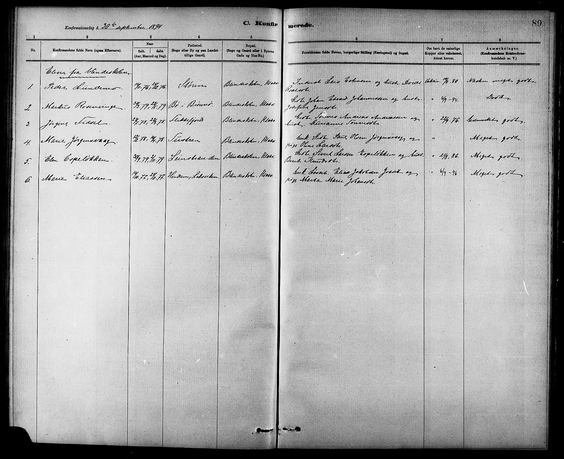 Ministerialprotokoller, klokkerbøker og fødselsregistre - Sør-Trøndelag, SAT/A-1456/618/L0452: Parish register (copy) no. 618C03, 1884-1906, p. 89