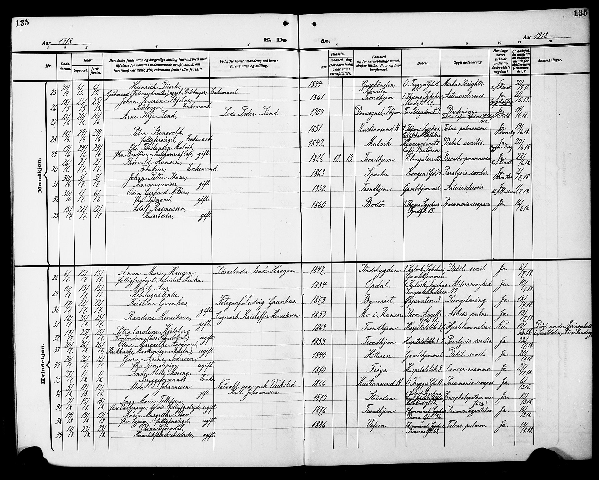 Ministerialprotokoller, klokkerbøker og fødselsregistre - Sør-Trøndelag, AV/SAT-A-1456/602/L0147: Parish register (copy) no. 602C15, 1911-1924, p. 135