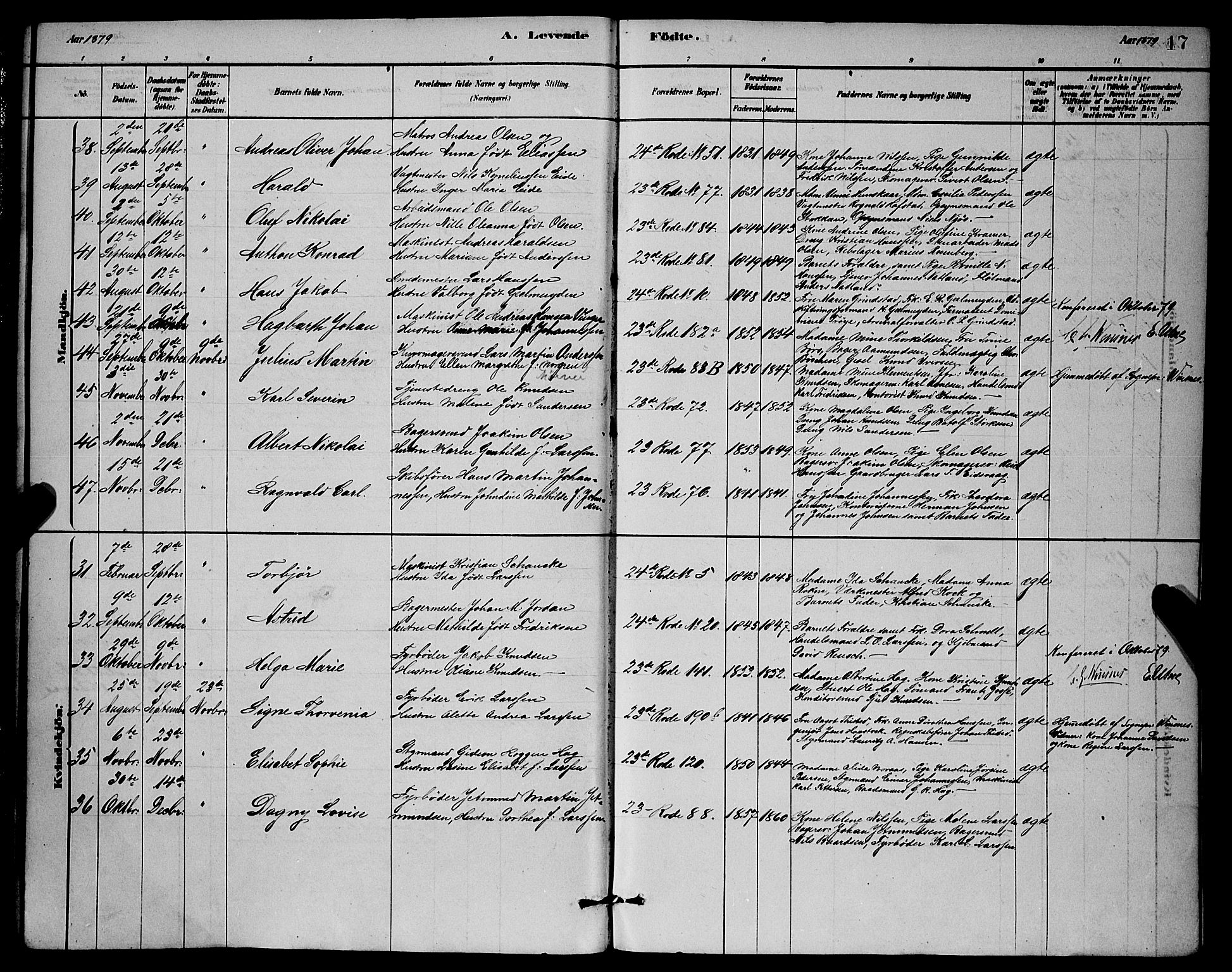 Mariakirken Sokneprestembete, AV/SAB-A-76901/H/Hab/L0004: Parish register (copy) no. A 4, 1878-1892, p. 17