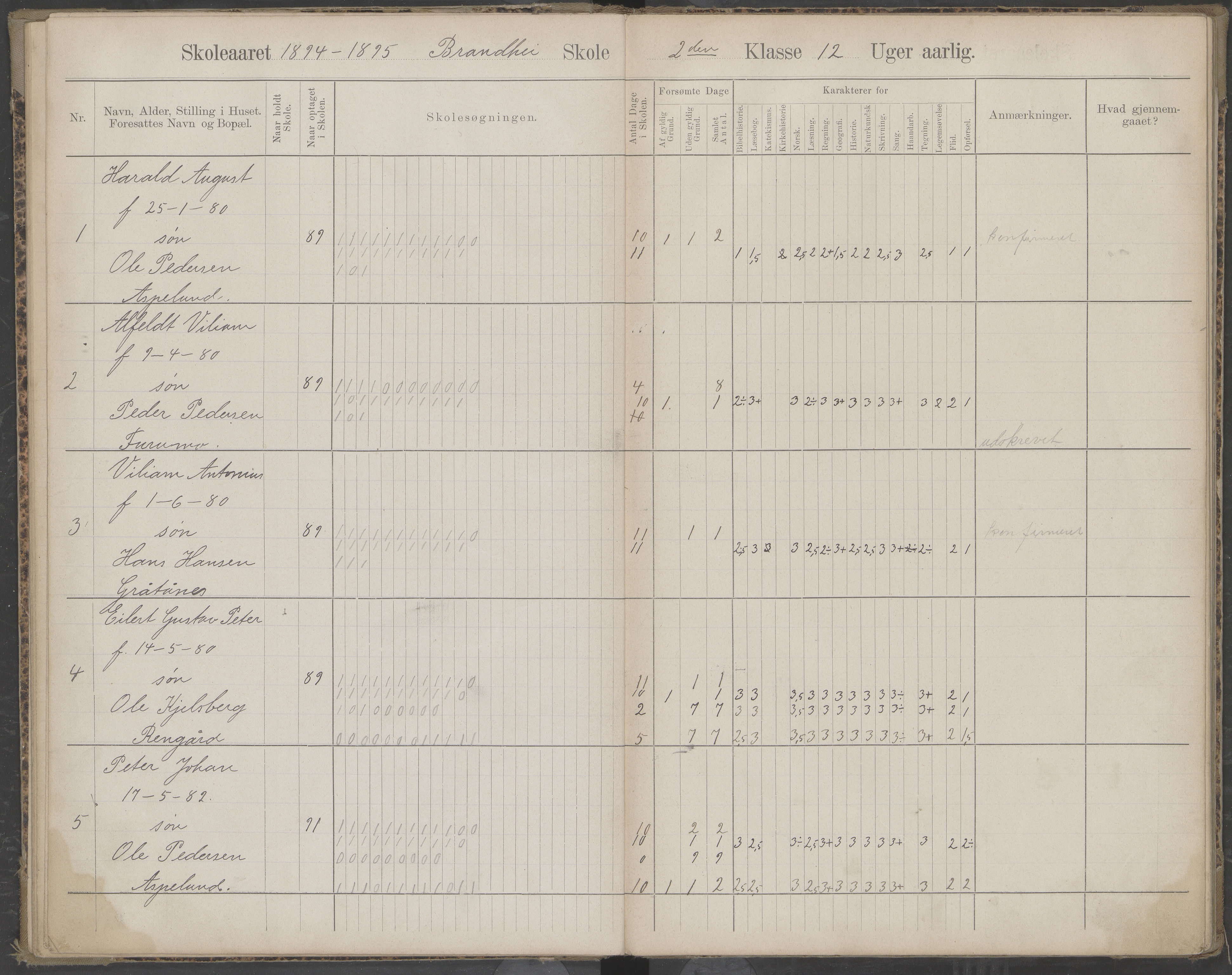 Beiarn kommune. Brandhei skolekrets, AIN/K-18390.510.03/442/L0003: Karakter/oversiktsprotokoll, 1893-1910