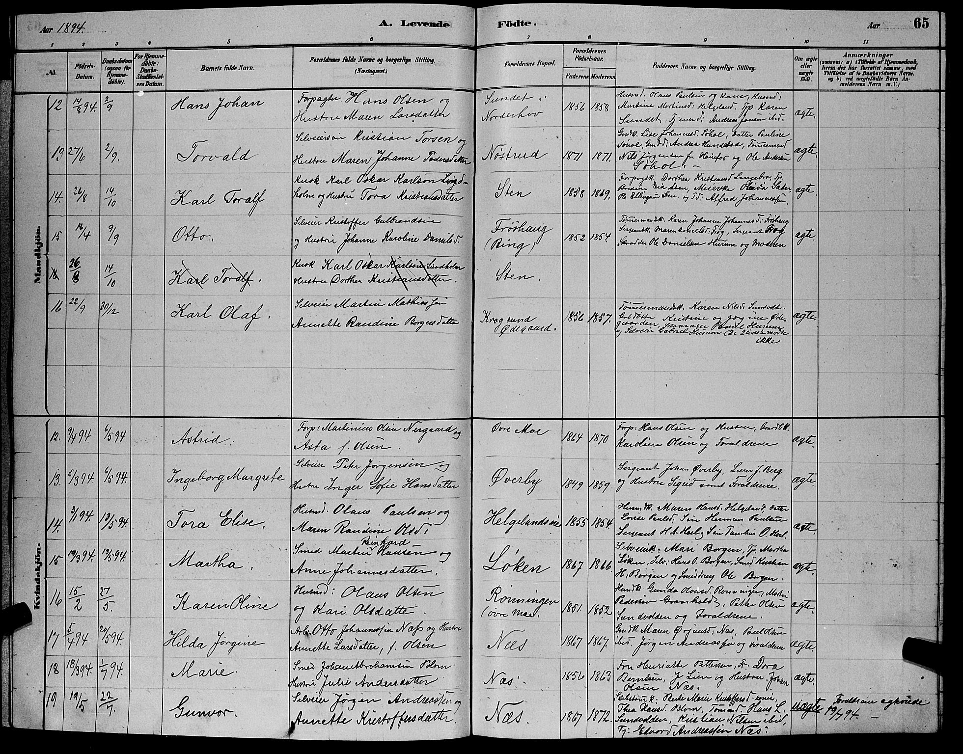 Hole kirkebøker, SAKO/A-228/G/Ga/L0003: Parish register (copy) no. I 3, 1879-1904, p. 65