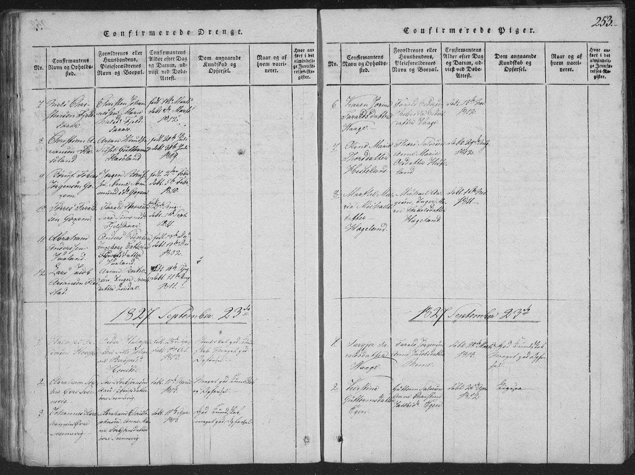 Sør-Audnedal sokneprestkontor, AV/SAK-1111-0039/F/Fa/Faa/L0001: Parish register (official) no. A 1, 1816-1848, p. 253